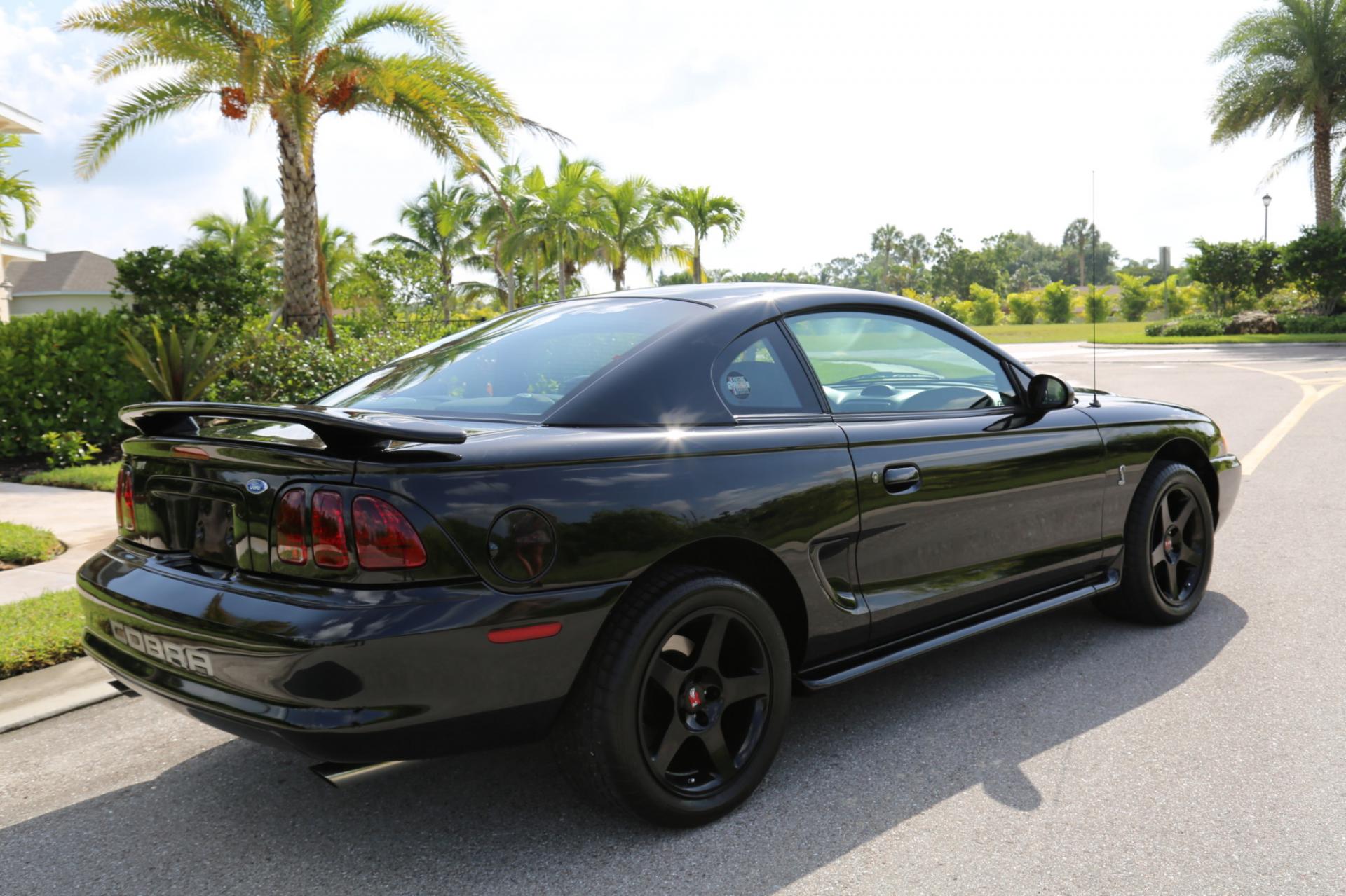 Used 1996 Mustang Cobra SVT for sale $22,500 at Muscle Cars for Sale Inc. in Fort Myers FL 33912 3