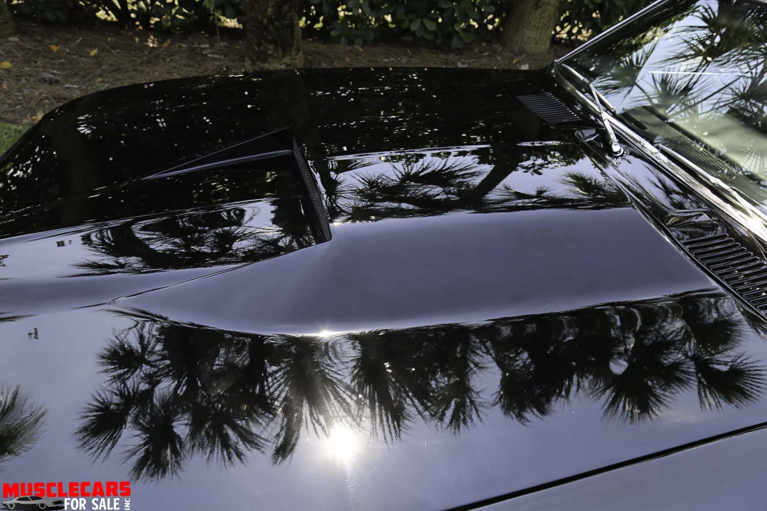 Used 1969 Pontiac Firebird for sale Sold at Muscle Cars for Sale Inc. in Fort Myers FL 33912 8