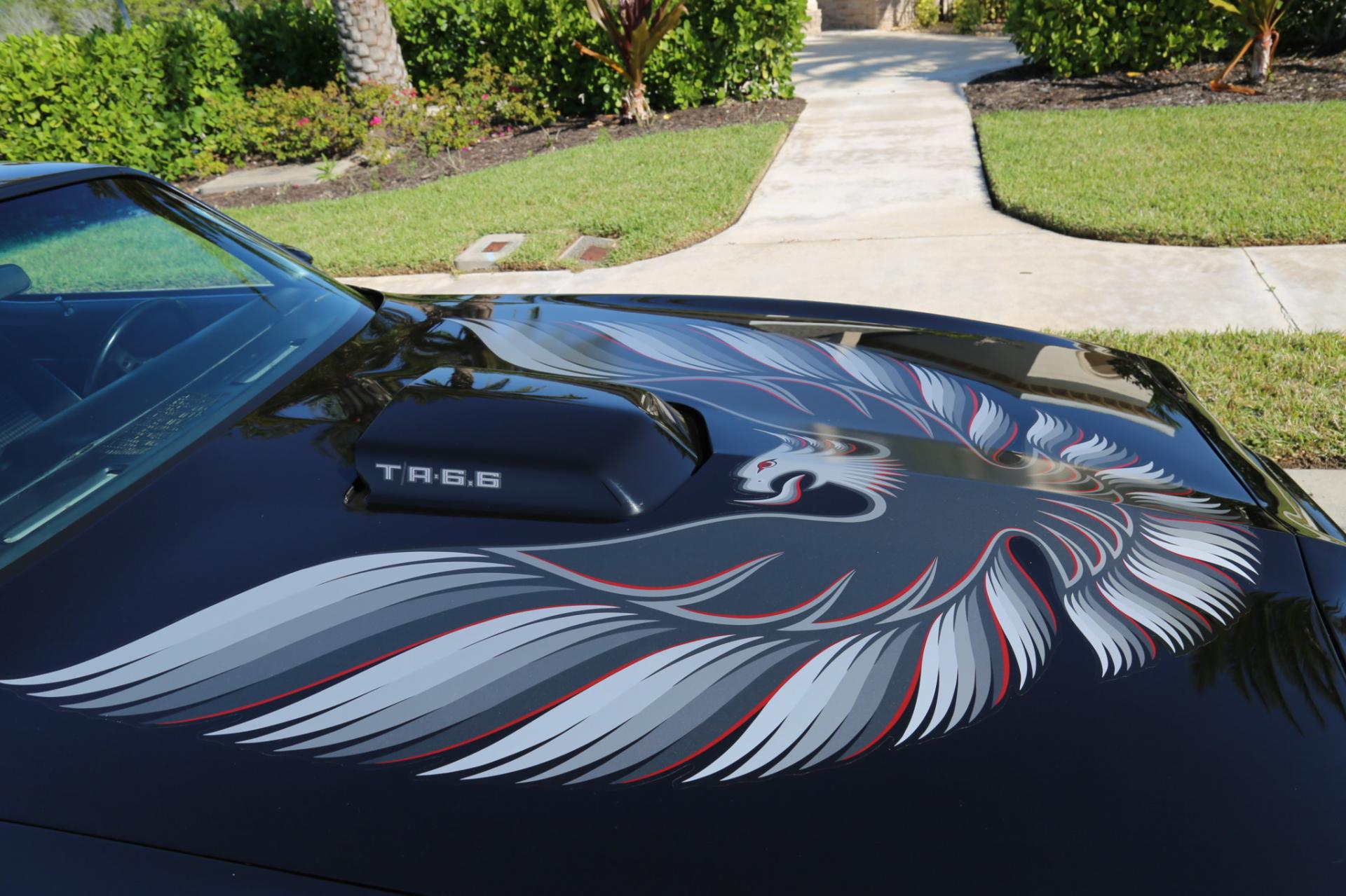 Used 1980 Pontiac Trans Am for sale Sold at Muscle Cars for Sale Inc. in Fort Myers FL 33912 7