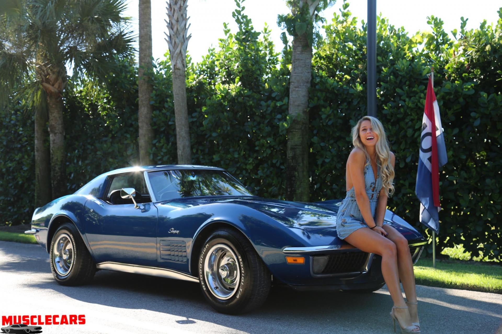 Used 1971 Chevrolet Corvette for sale Sold at Muscle Cars for Sale Inc. in Fort Myers FL 33912 2