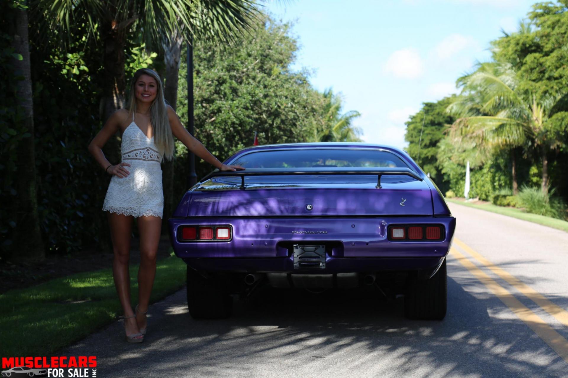 Used 1973 Plymouth Road Runner for sale Sold at Muscle Cars for Sale Inc. in Fort Myers FL 33912 5