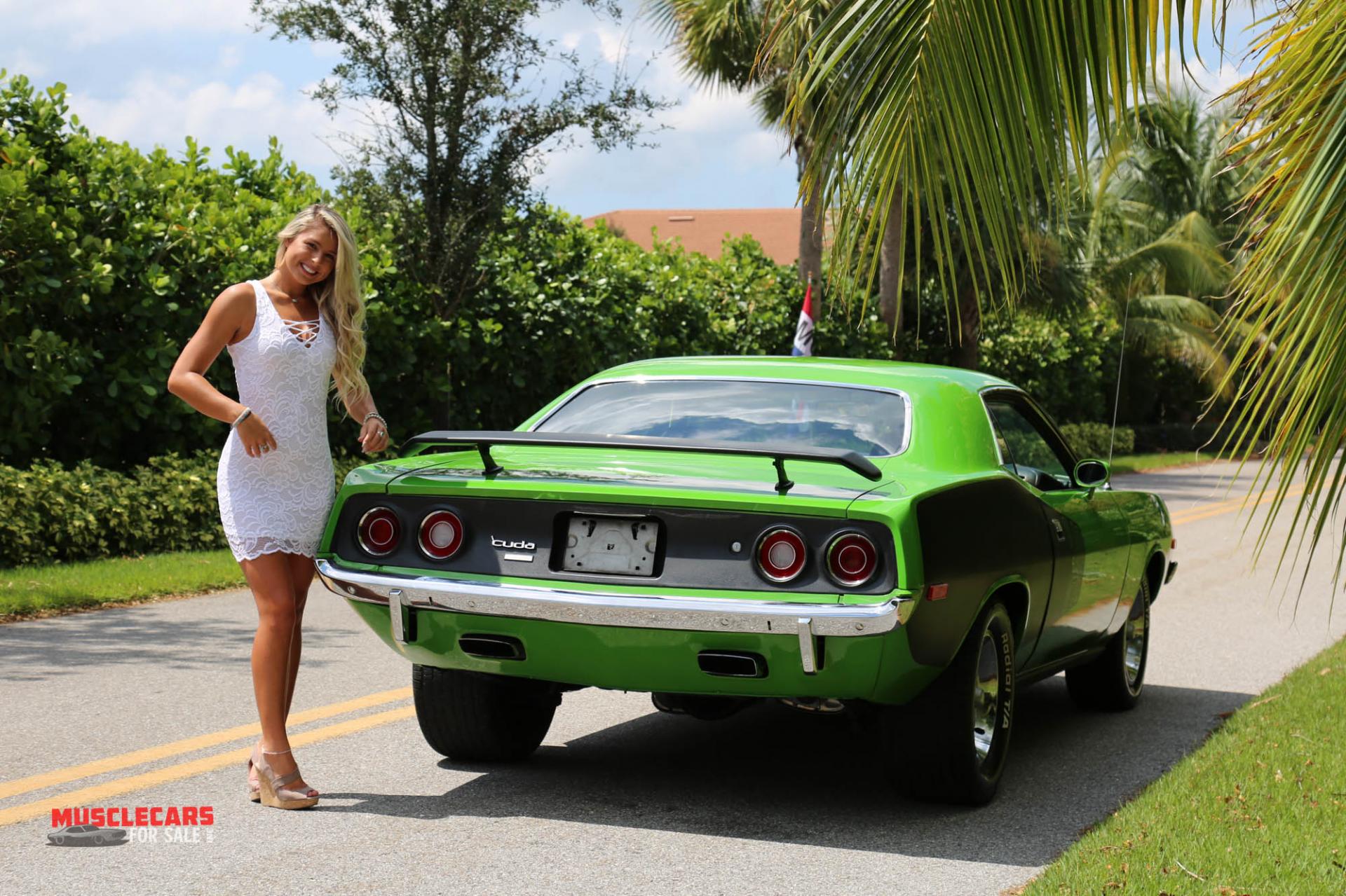 Used 1973 Plymouth Barracuda for sale Sold at Muscle Cars for Sale Inc. in Fort Myers FL 33912 5