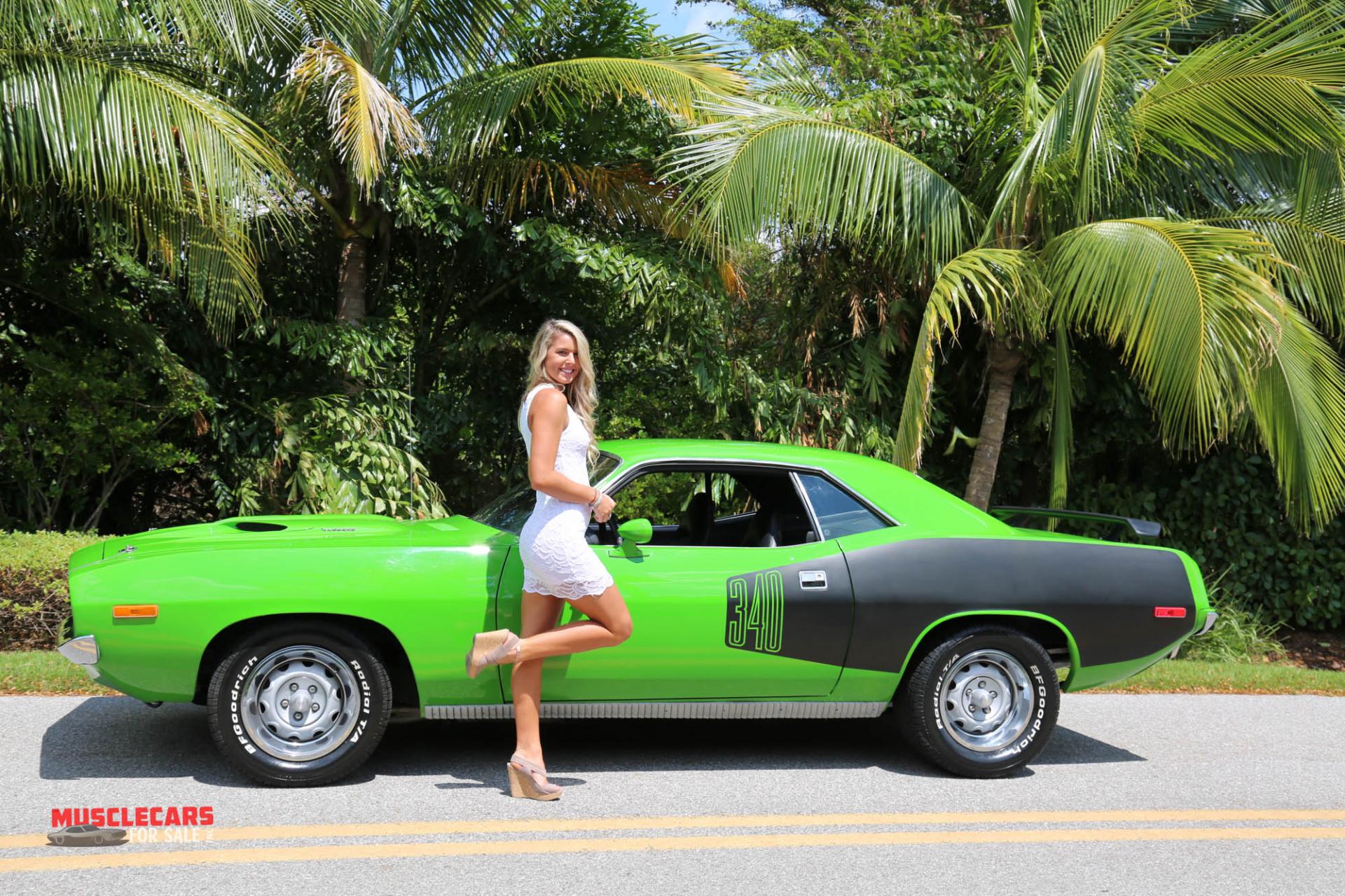 Used 1973 Plymouth Barracuda for sale Sold at Muscle Cars for Sale Inc. in Fort Myers FL 33912 7