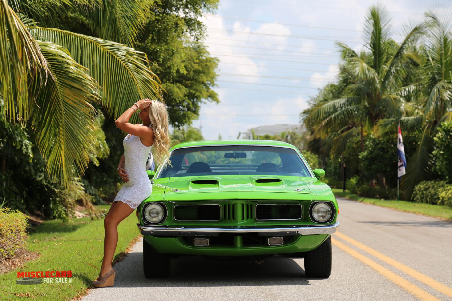 Used 1973 Plymouth Barracuda for sale Sold at Muscle Cars for Sale Inc. in Fort Myers FL 33912 8