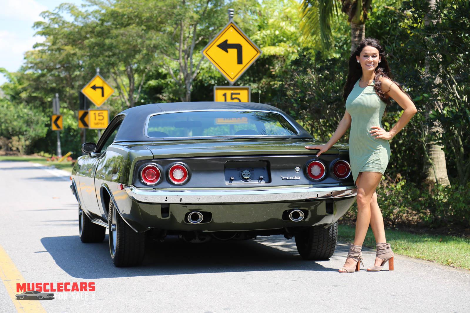 Used 0 for sale Sold at Muscle Cars for Sale Inc. in Fort Myers FL 33912 3