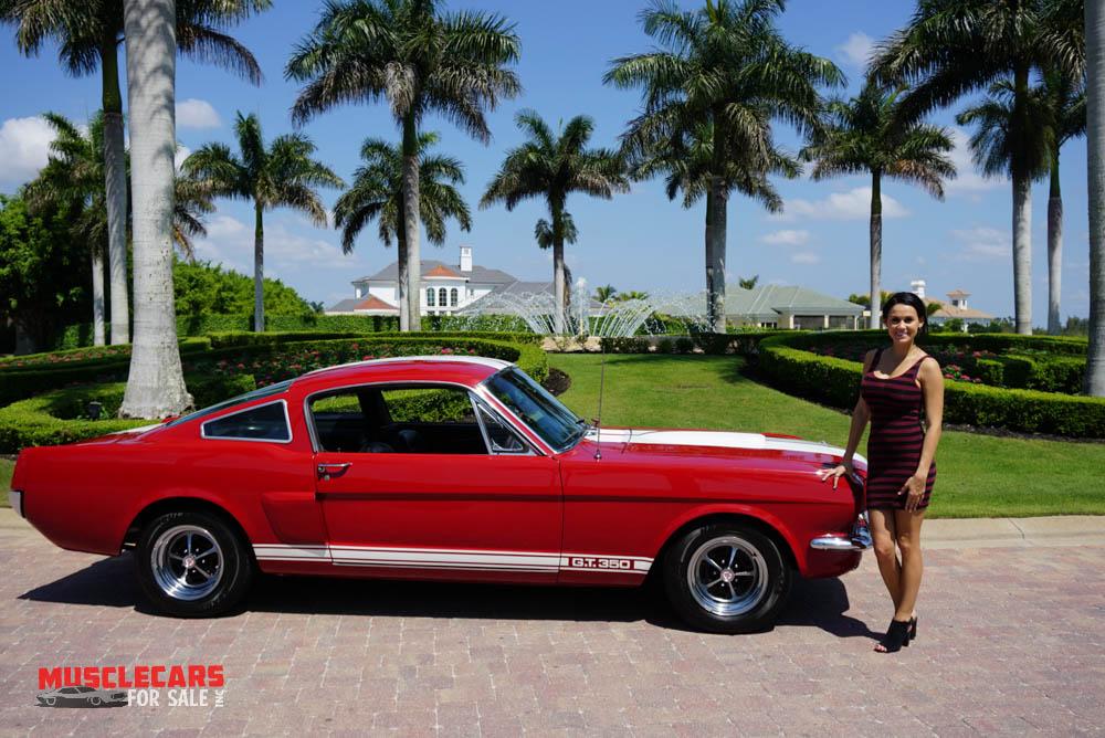 Used 1965 Ford  Shelby Mustang GT350 for sale Sold at Muscle Cars for Sale Inc. in Fort Myers FL 33912 5