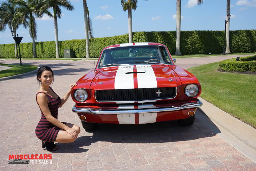 Used 1965 Ford  Shelby Mustang GT350 for sale Sold at Muscle Cars for Sale Inc. in Fort Myers FL 33912 6