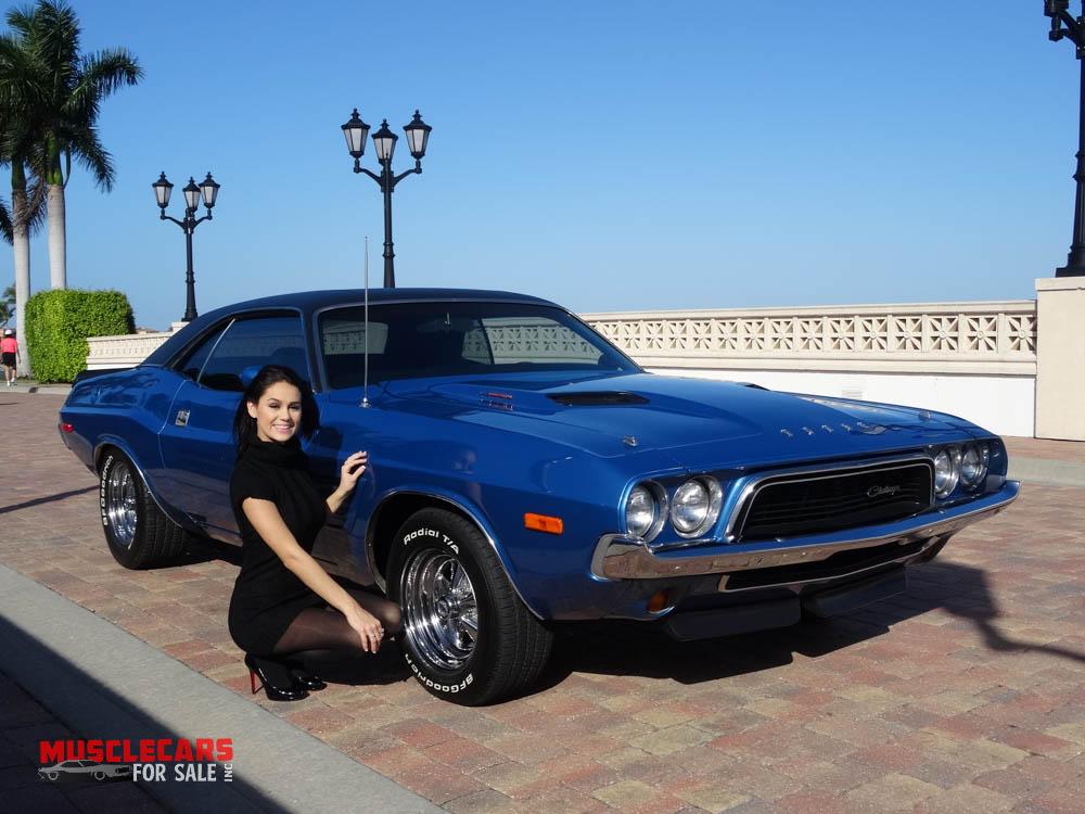Used 1973 Dodge  Challenger for sale Sold at Muscle Cars for Sale Inc. in Fort Myers FL 33912 3