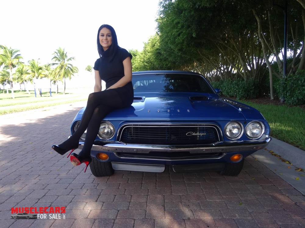 Used 1973 Dodge  Challenger for sale Sold at Muscle Cars for Sale Inc. in Fort Myers FL 33912 4