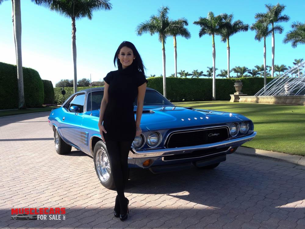 Used 1973 Dodge  Challenger for sale Sold at Muscle Cars for Sale Inc. in Fort Myers FL 33912 5