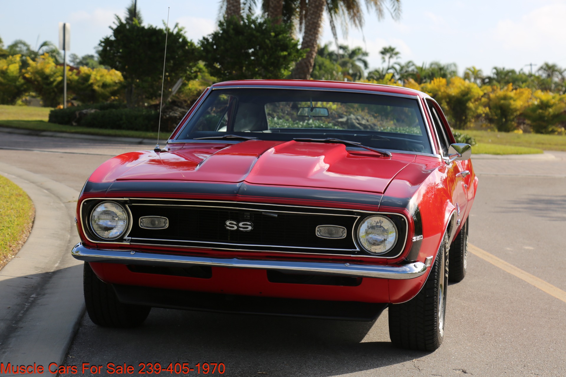 Used 1968 Chevrolet Camaro SS for sale Sold at Muscle Cars for Sale Inc. in Fort Myers FL 33912 6