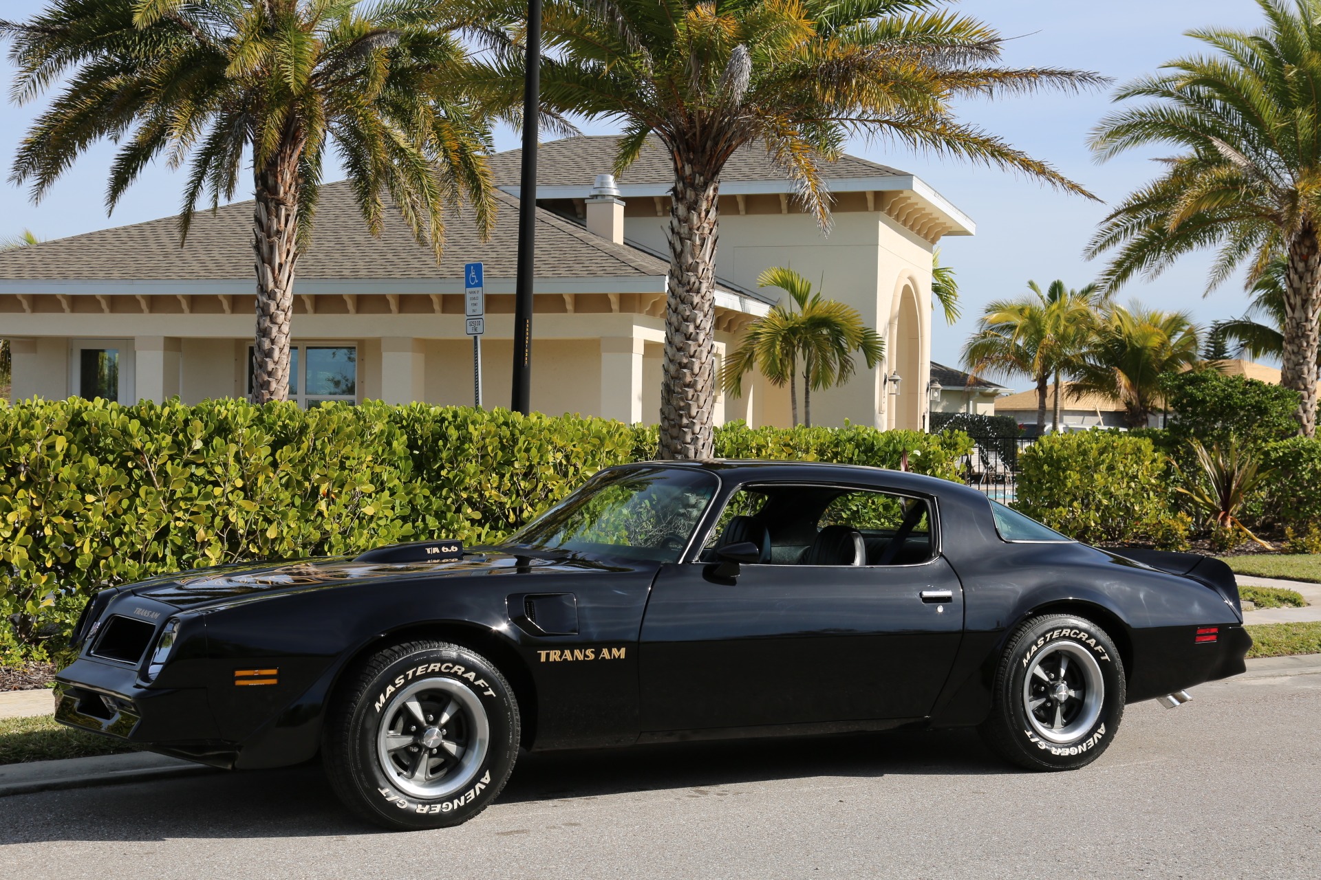 Used 1976 Pontiac Trans Am Trans Am for sale Sold at Muscle Cars for Sale Inc. in Fort Myers FL 33912 2