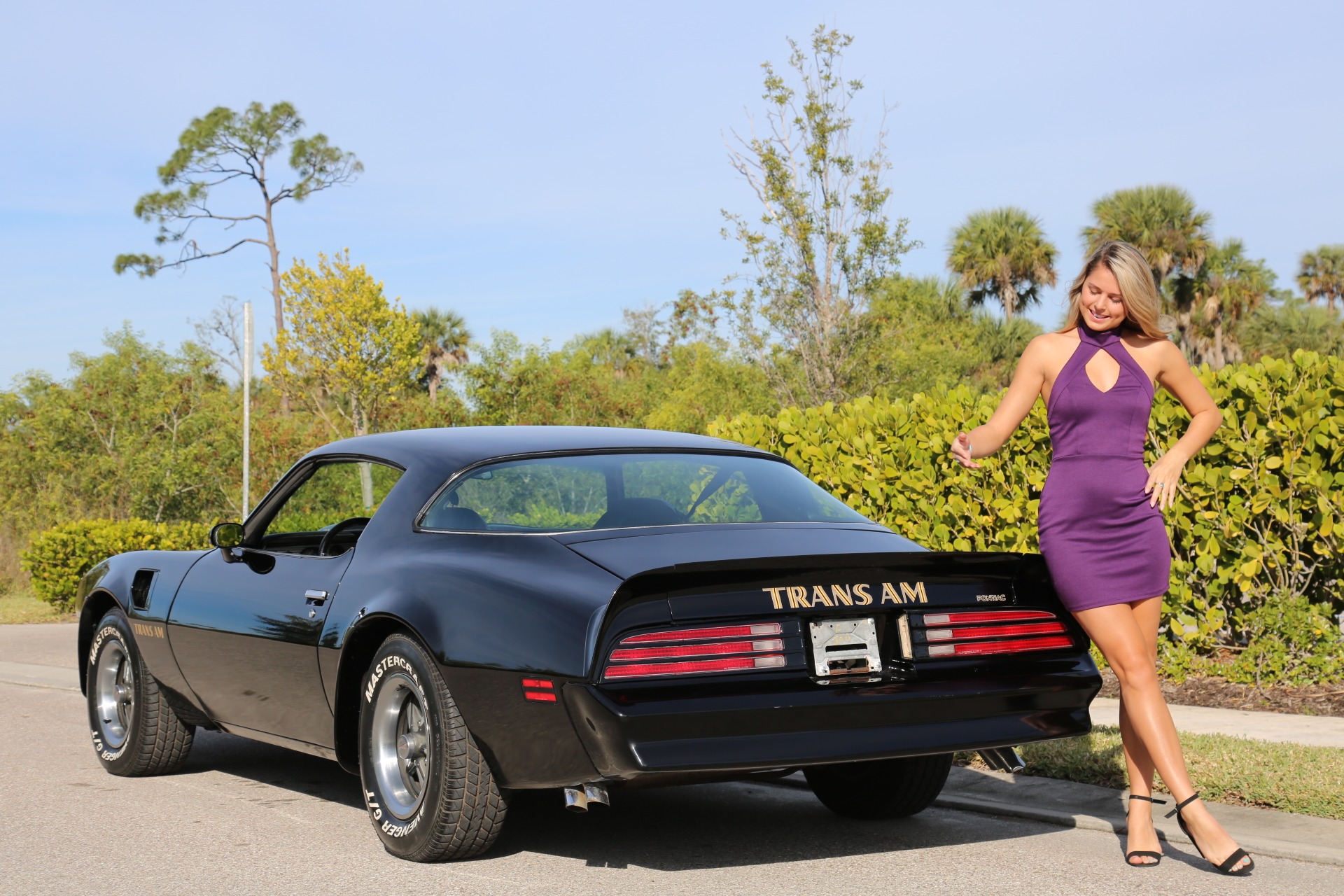 Used 1976 Pontiac Trans Am Trans Am for sale Sold at Muscle Cars for Sale Inc. in Fort Myers FL 33912 3
