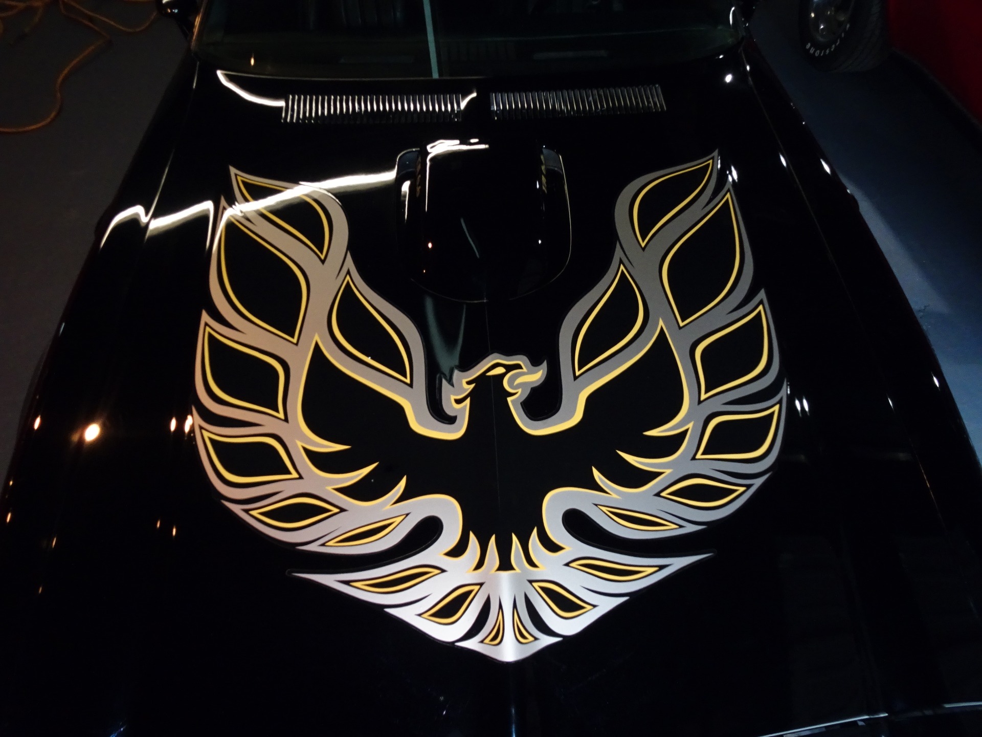 Used 1976 Pontiac Trans Am Trans Am for sale Sold at Muscle Cars for Sale Inc. in Fort Myers FL 33912 4