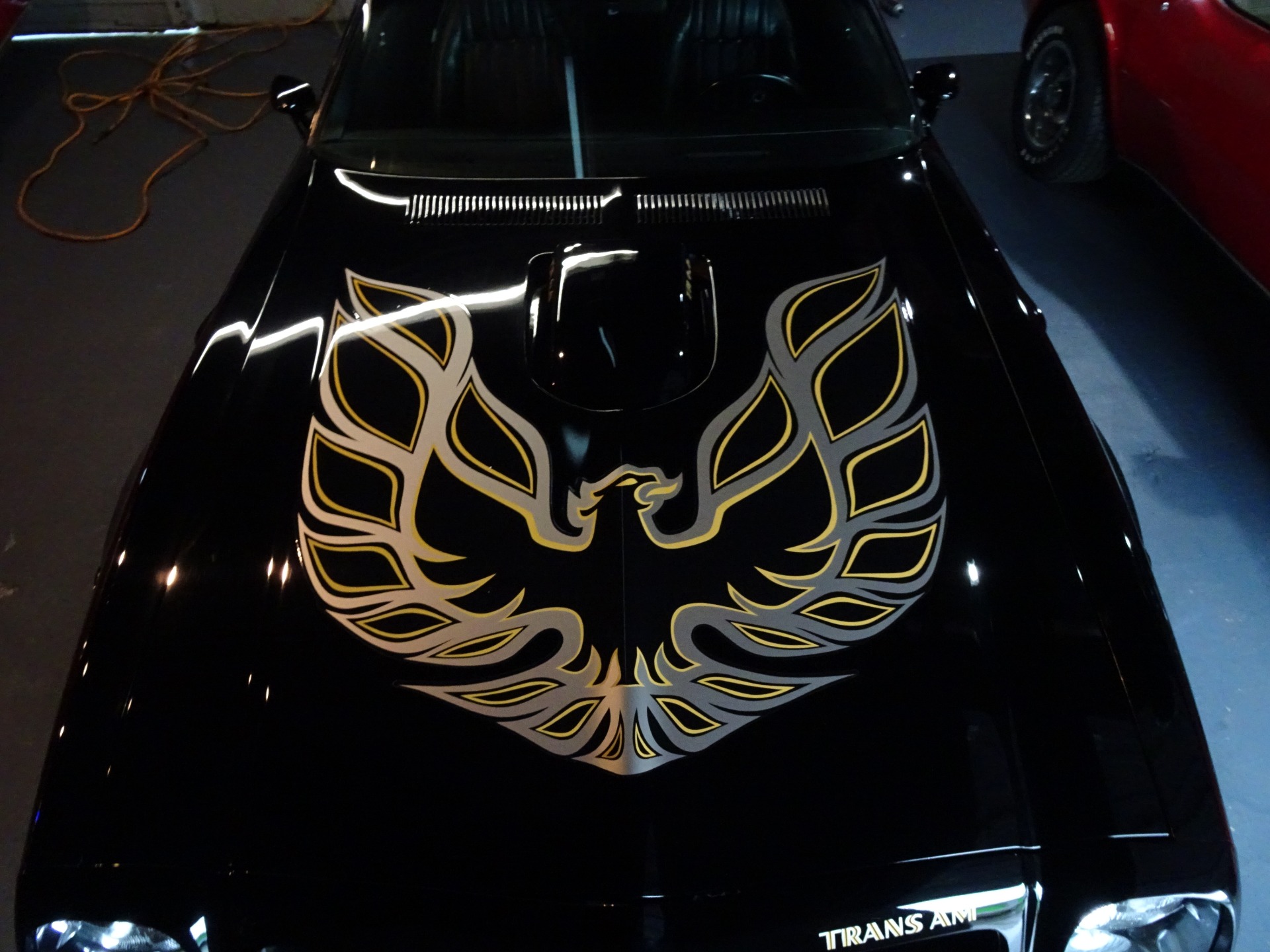 Used 1976 Pontiac Trans Am Trans Am for sale Sold at Muscle Cars for Sale Inc. in Fort Myers FL 33912 7