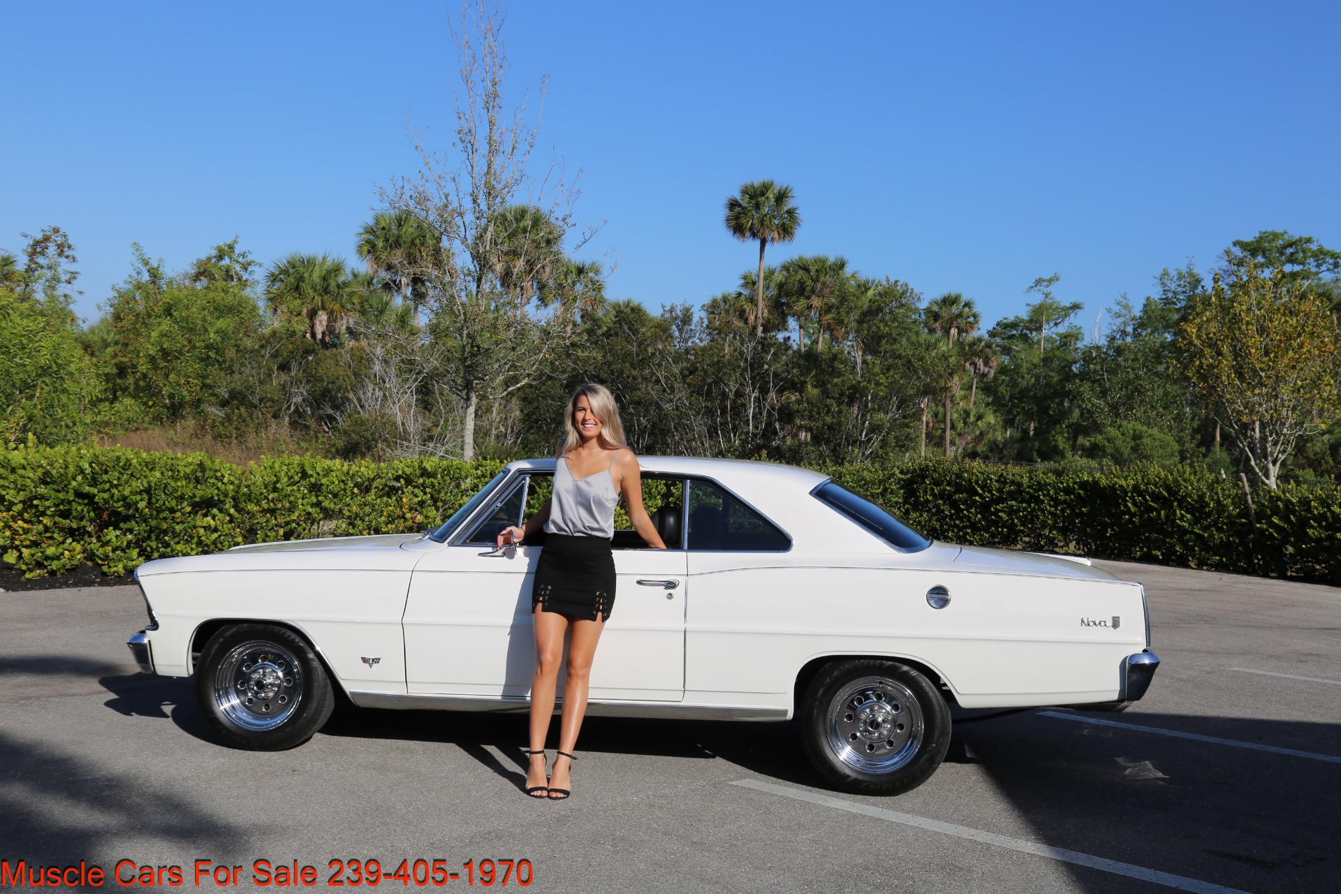 Used 1967 Chvey Nova Muscle Car for sale Sold at Muscle Cars for Sale Inc. in Fort Myers FL 33912 5