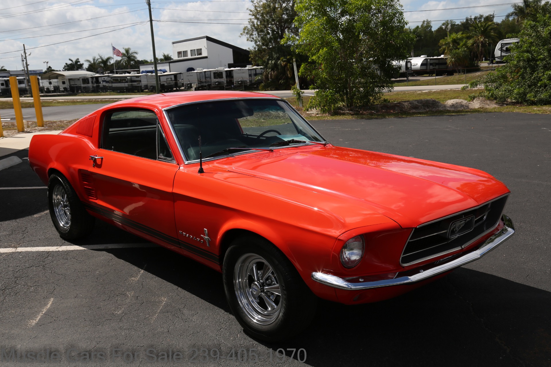 Used 1967 Ford Mustang for sale Sold at Muscle Cars for Sale Inc. in Fort Myers FL 33912 6