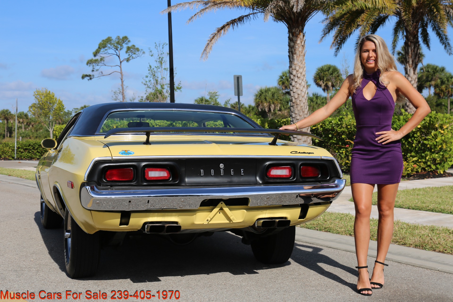 Used 1974 Dodge Challenger R/T for sale Sold at Muscle Cars for Sale Inc. in Fort Myers FL 33912 3