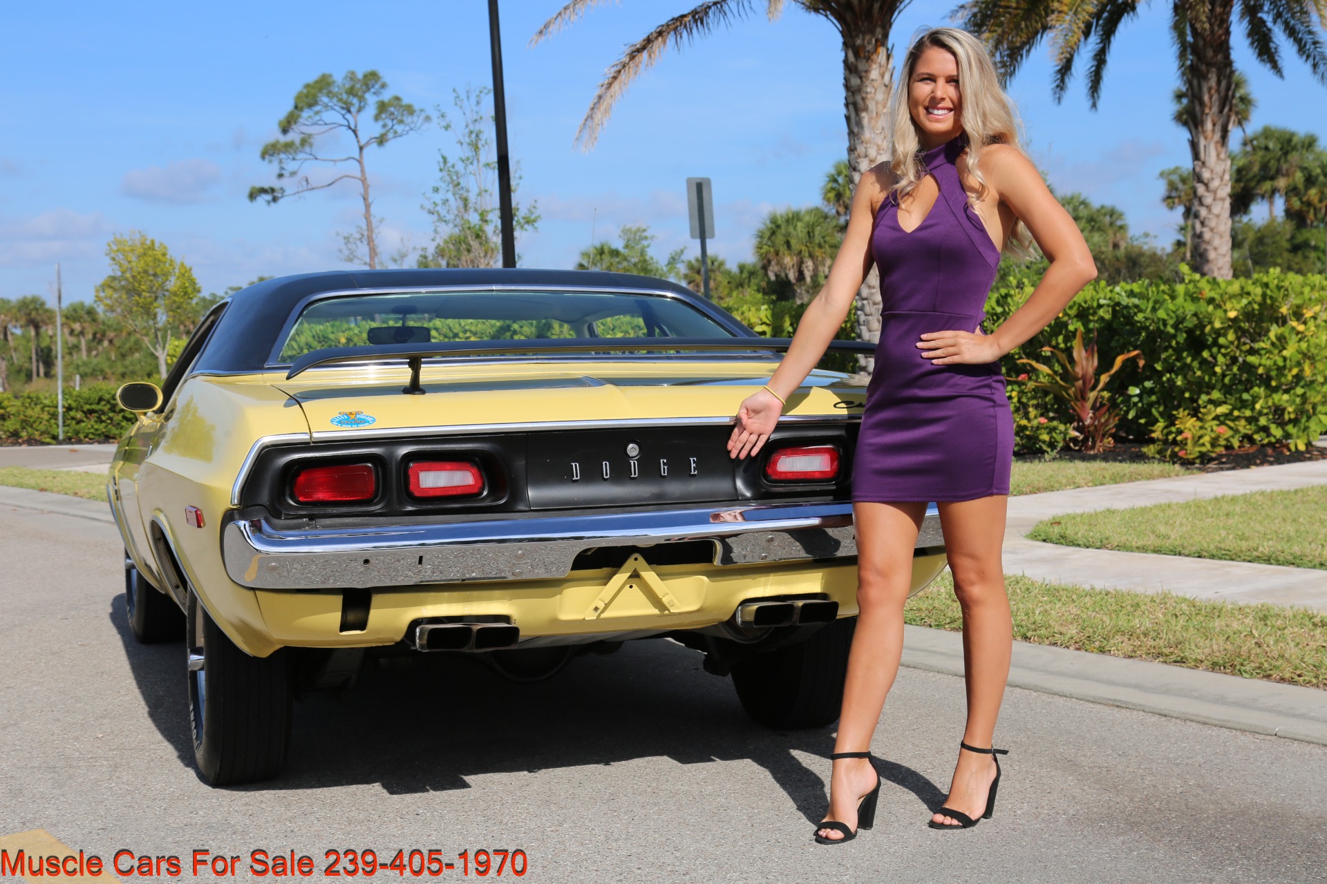 Used 1974 Dodge Challenger R/T for sale Sold at Muscle Cars for Sale Inc. in Fort Myers FL 33912 4
