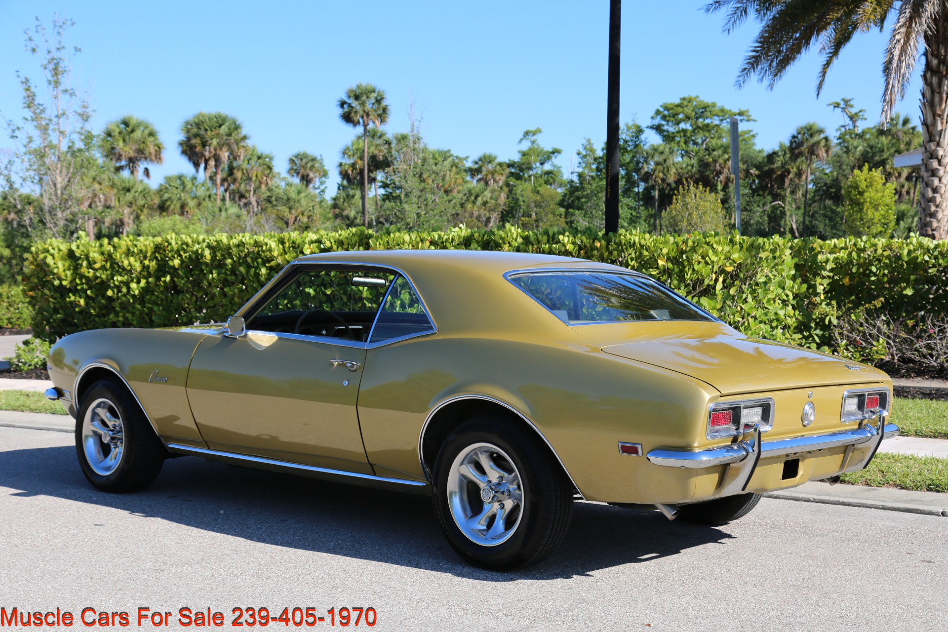 Used 1968 Chevy Camaro for sale Sold at Muscle Cars for Sale Inc. in Fort Myers FL 33912 5
