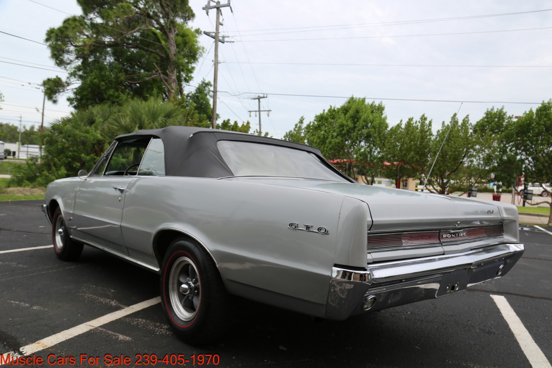 Used 1964 Pontiac GTO GTO for sale Sold at Muscle Cars for Sale Inc. in Fort Myers FL 33912 2