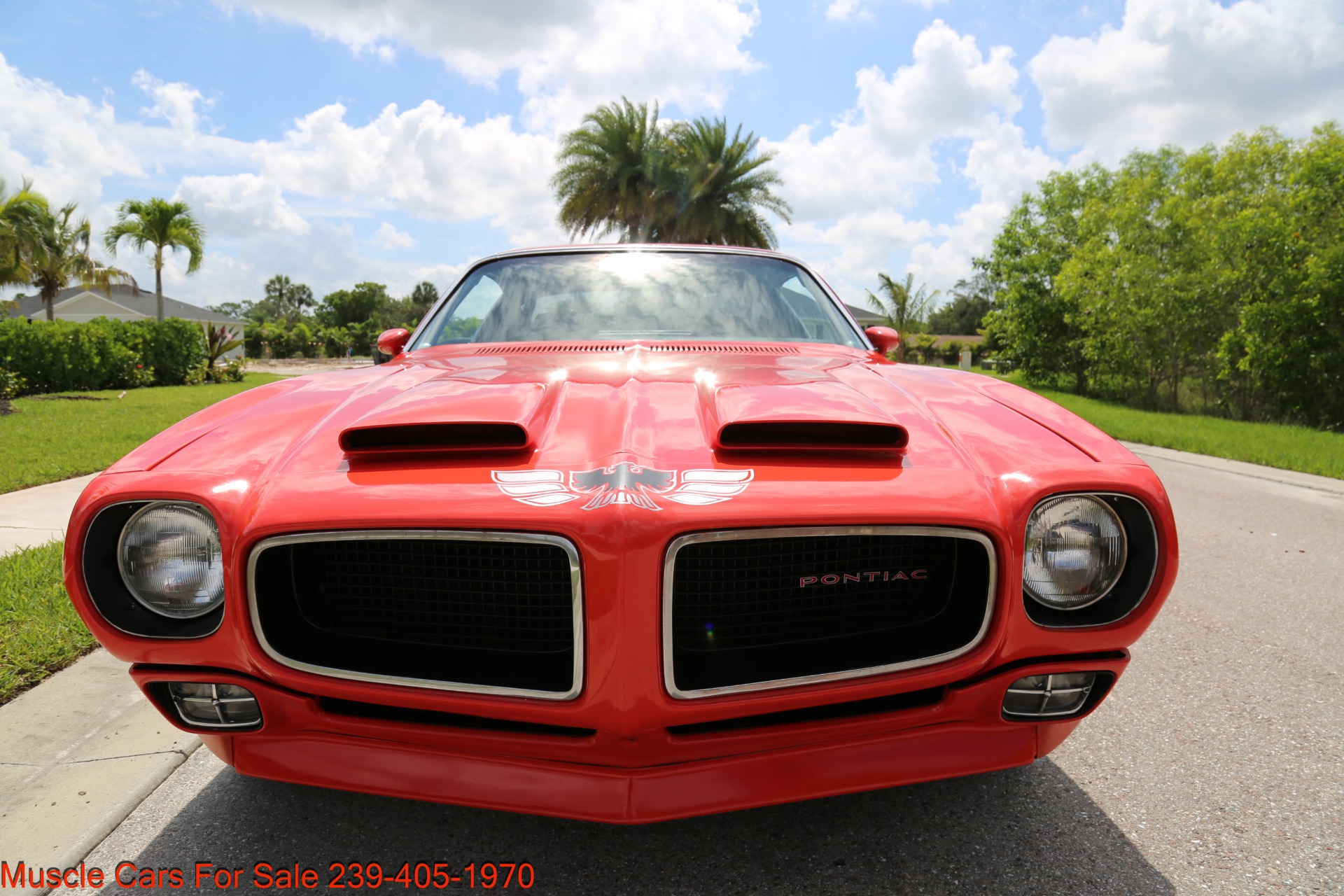 Used 1978 Pontiac Firebird 1970 FormulaTribute for sale Sold at Muscle Cars for Sale Inc. in Fort Myers FL 33912 2