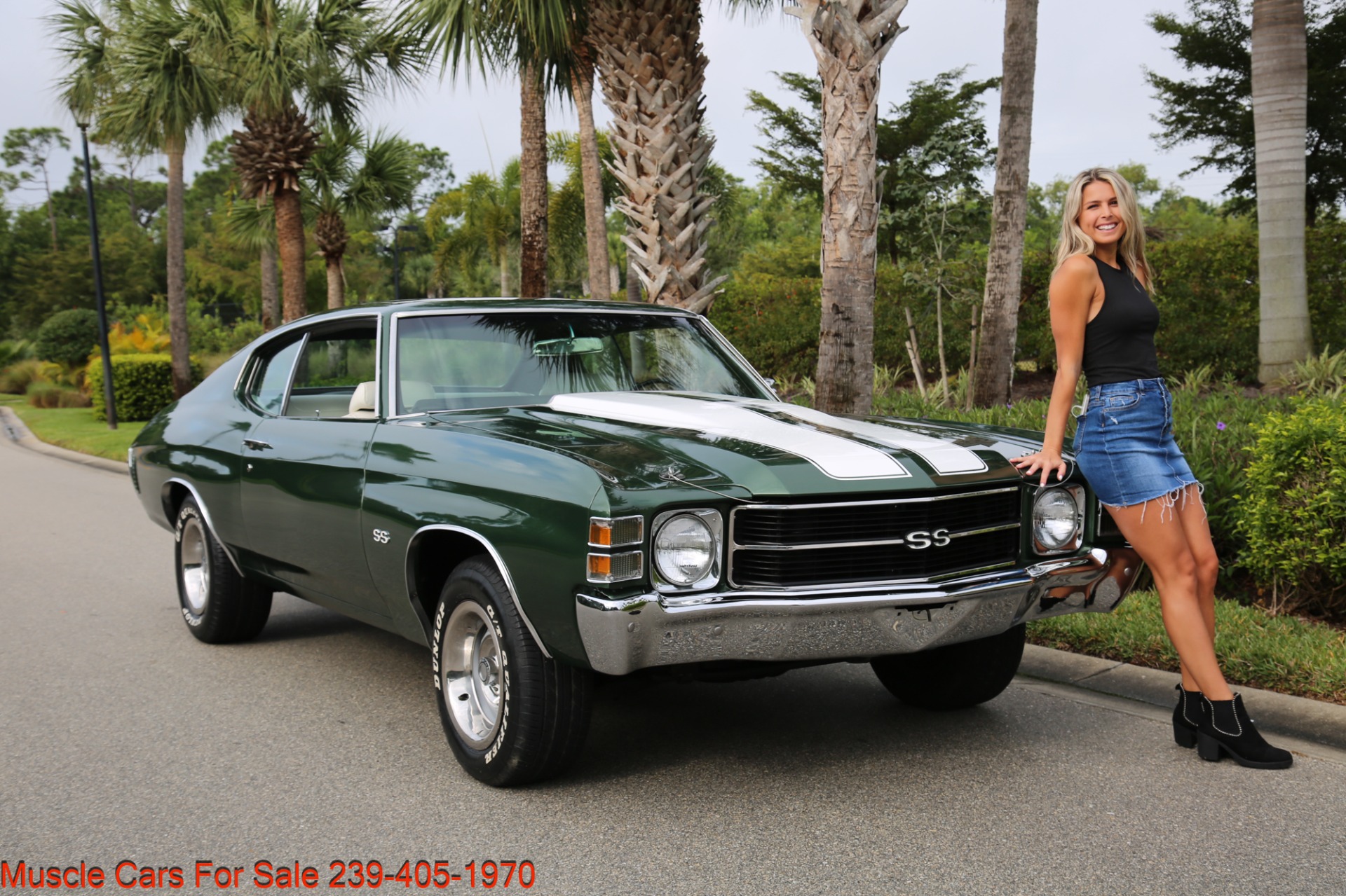 Used 1971 Chevy Chevelle SS SS for sale Sold at Muscle Cars for Sale Inc. in Fort Myers FL 33912 2