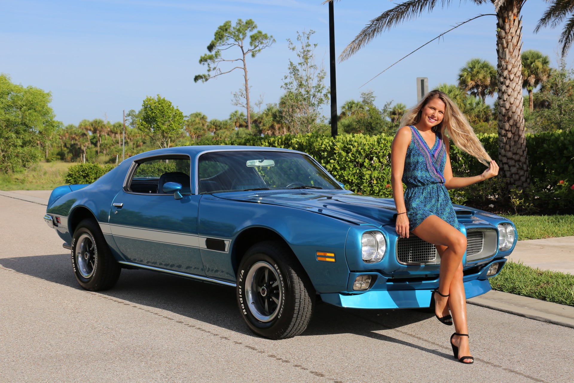 Used 1971 Pontiac Firebird for sale Sold at Muscle Cars for Sale Inc. in Fort Myers FL 33912 3