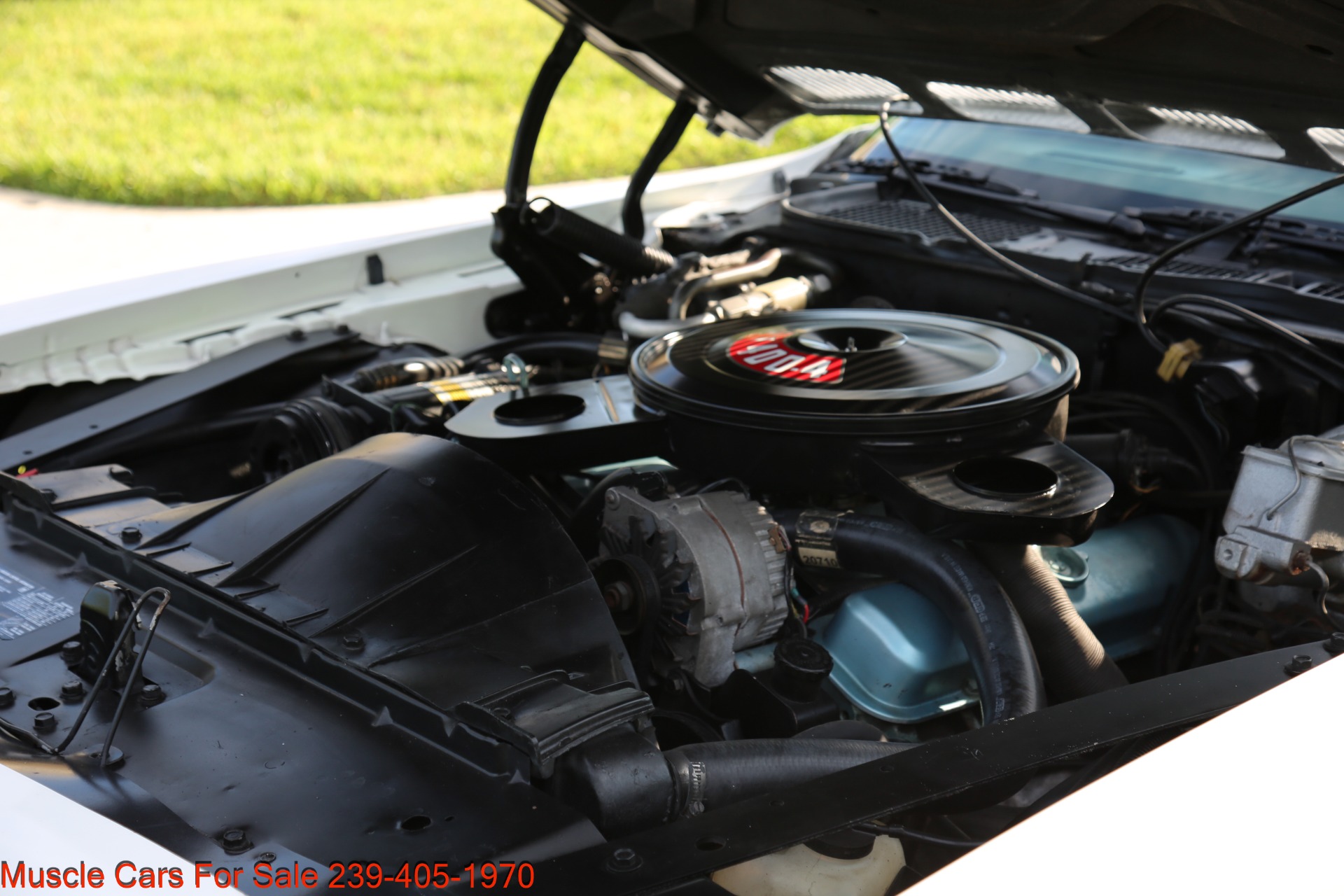 Used 1972 Pontiac Formula Formula for sale Sold at Muscle Cars for Sale Inc. in Fort Myers FL 33912 7