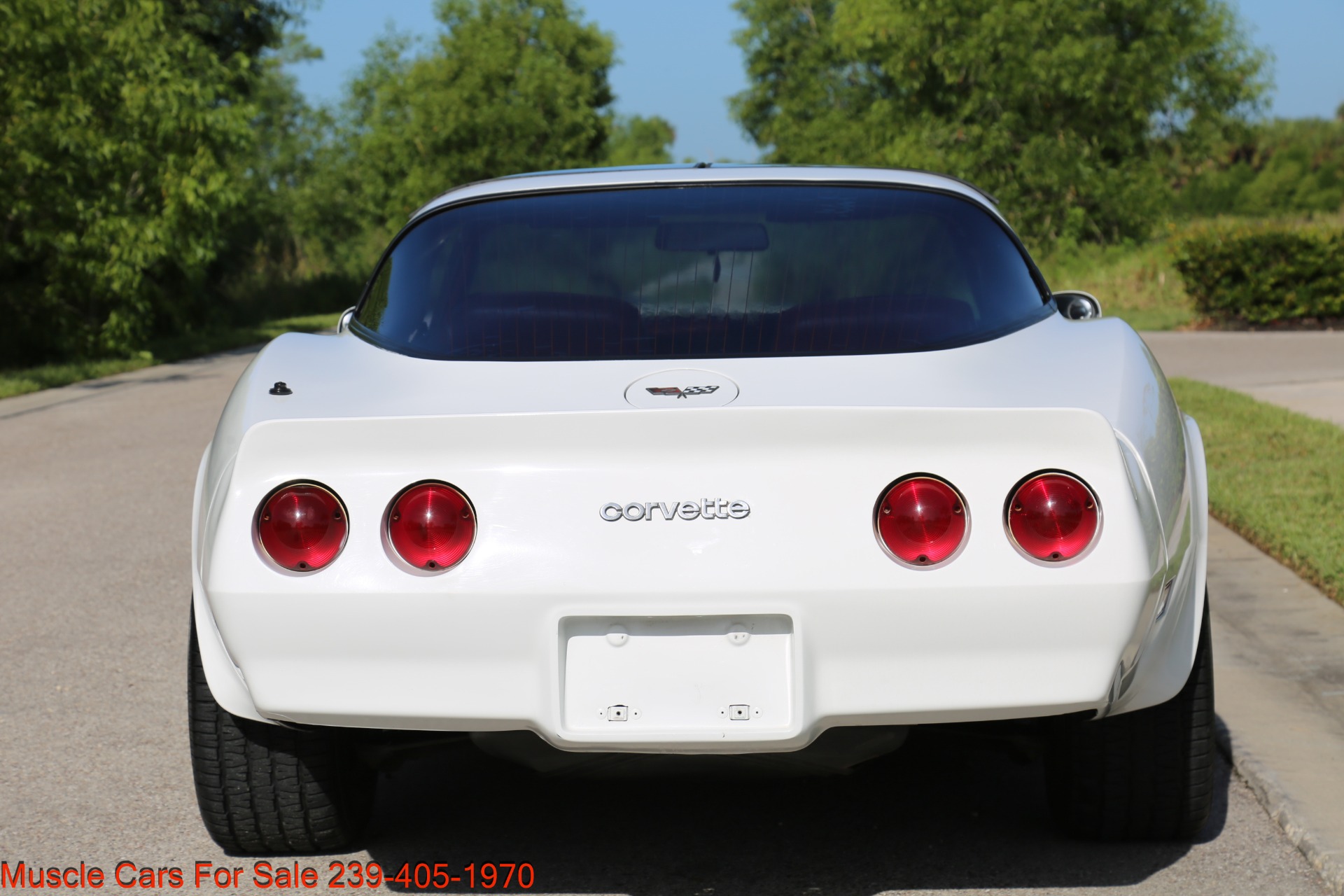 Used 1982 Chevrolet Corvette T TOP Crate motor 330 HP for sale Sold at Muscle Cars for Sale Inc. in Fort Myers FL 33912 8