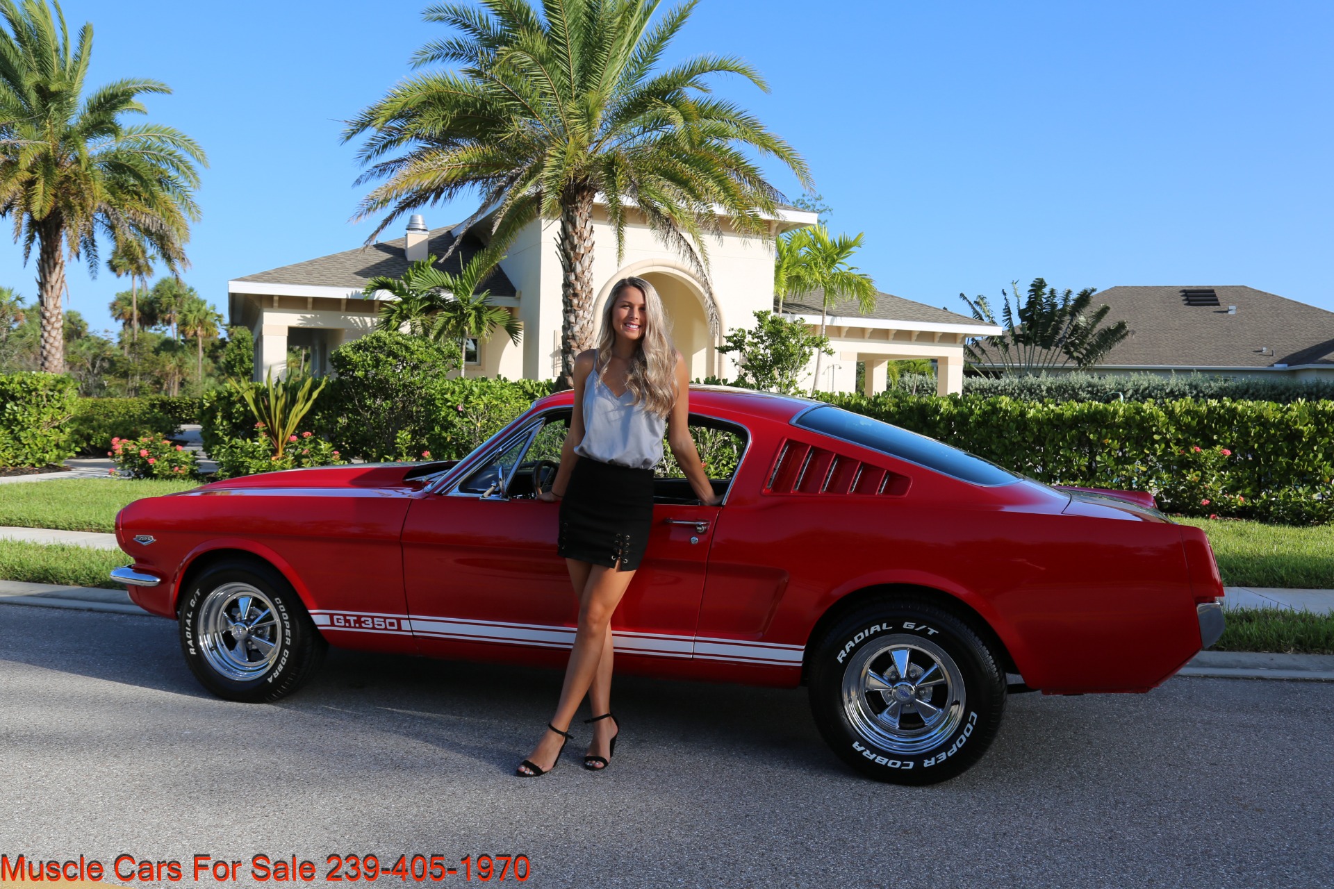 Used 1965 Ford Mustang Fastback for sale Sold at Muscle Cars for Sale Inc. in Fort Myers FL 33912 2
