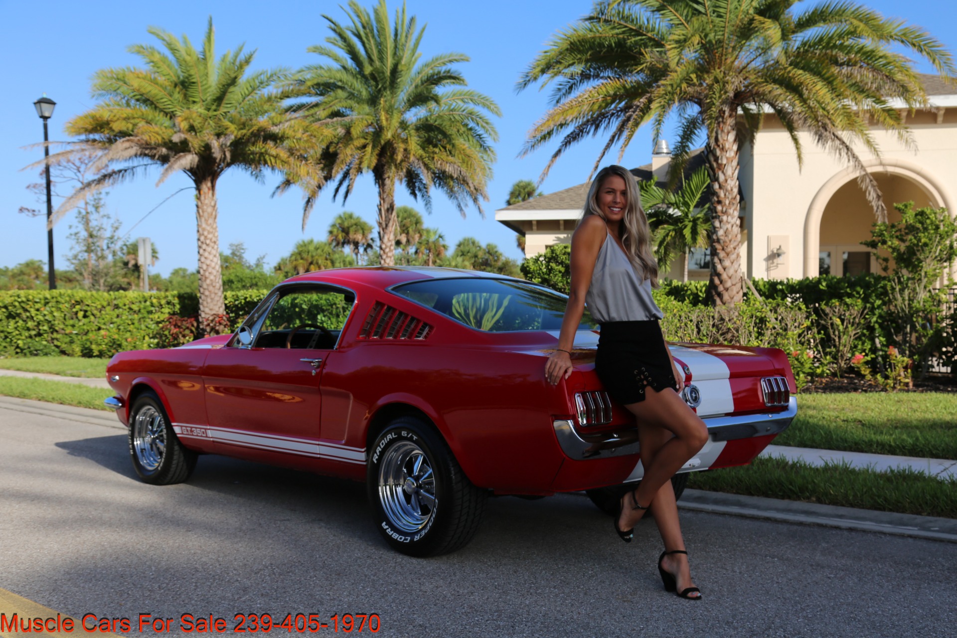Used 1965 Ford Mustang Fastback for sale Sold at Muscle Cars for Sale Inc. in Fort Myers FL 33912 3