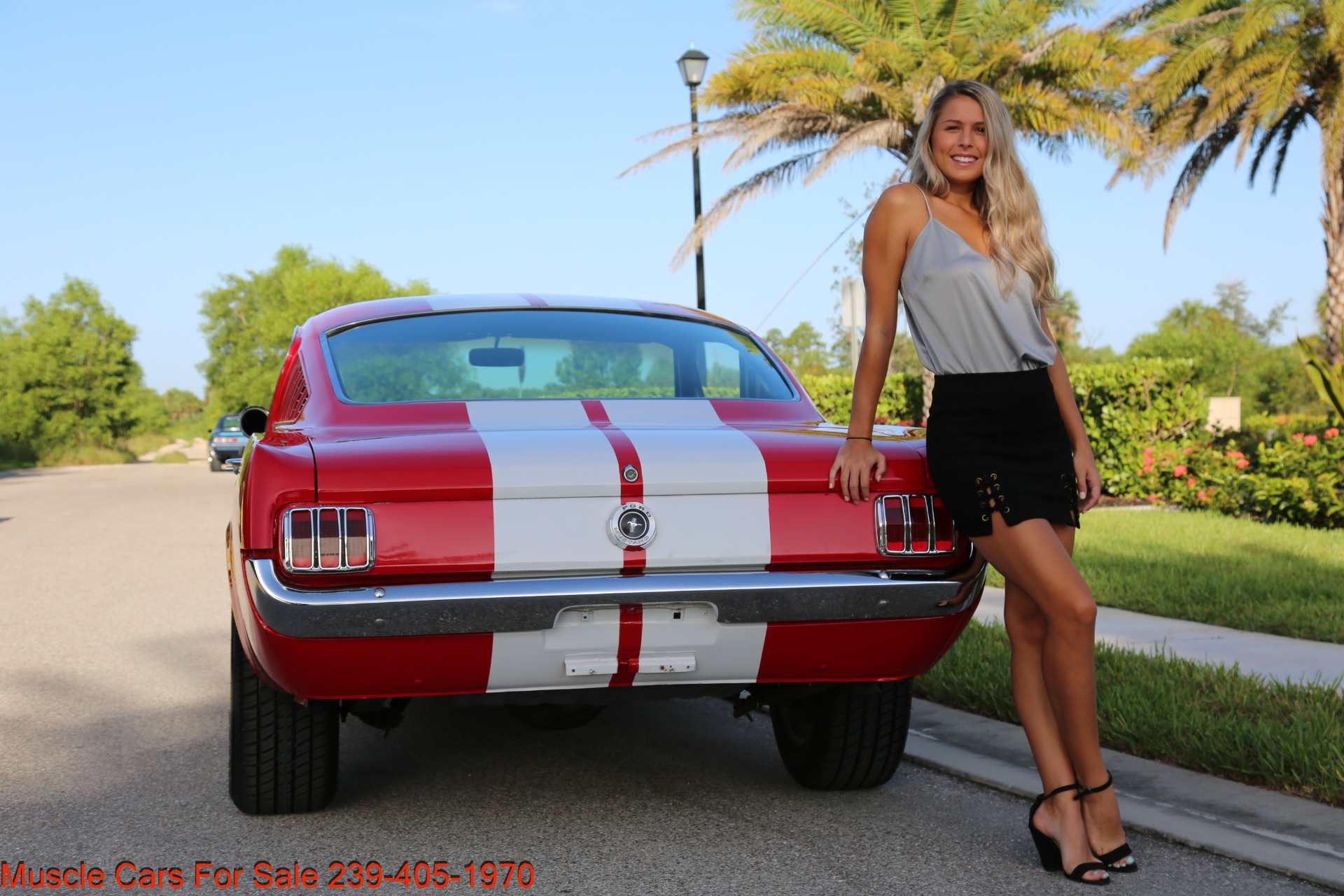 Used 1965 Ford Mustang Fastback for sale Sold at Muscle Cars for Sale Inc. in Fort Myers FL 33912 4