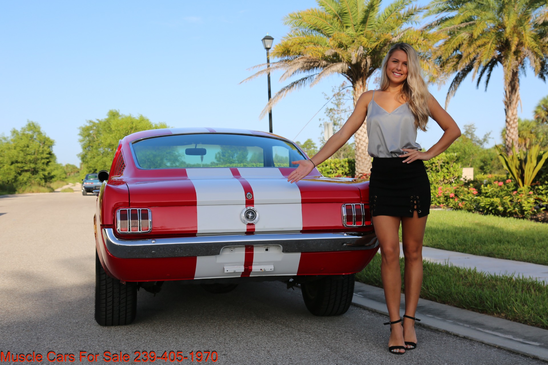 Used 1965 Ford Mustang Fastback for sale Sold at Muscle Cars for Sale Inc. in Fort Myers FL 33912 5