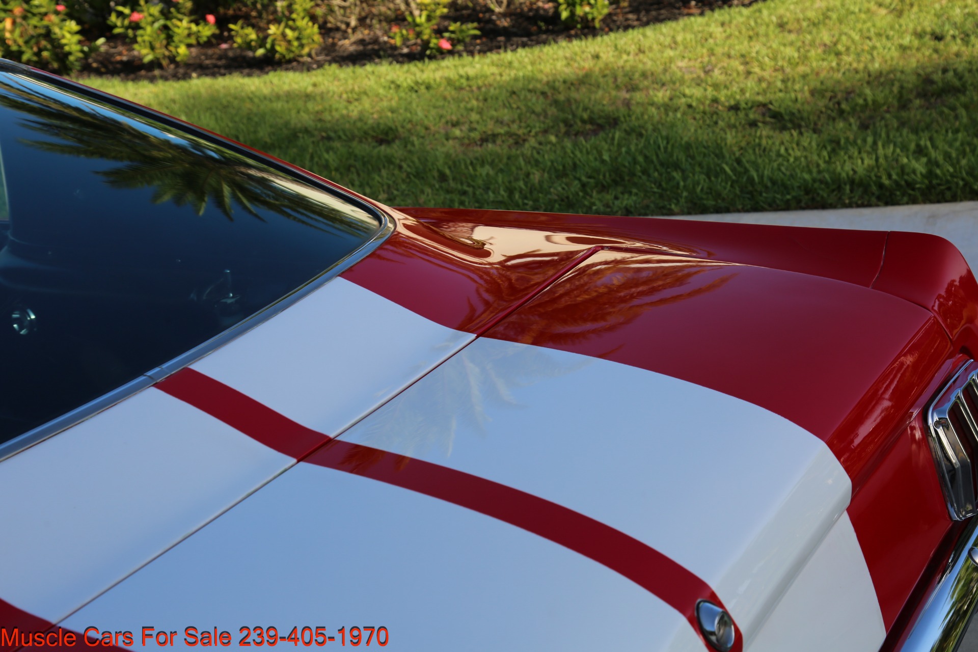 Used 1965 Ford Mustang Fastback for sale Sold at Muscle Cars for Sale Inc. in Fort Myers FL 33912 6
