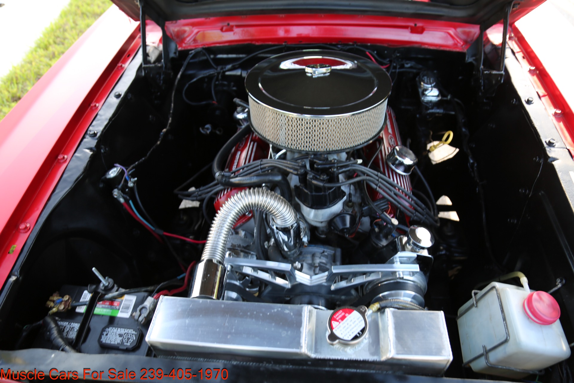 Used 1965 Ford Mustang Fastback for sale Sold at Muscle Cars for Sale Inc. in Fort Myers FL 33912 8