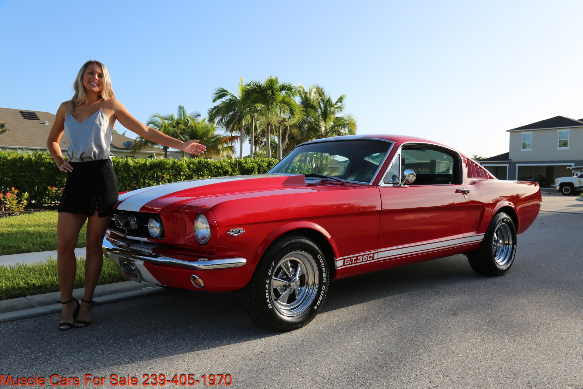 Used 1965 Ford Mustang Fastback for sale Sold at Muscle Cars for Sale Inc. in Fort Myers FL 33912 1