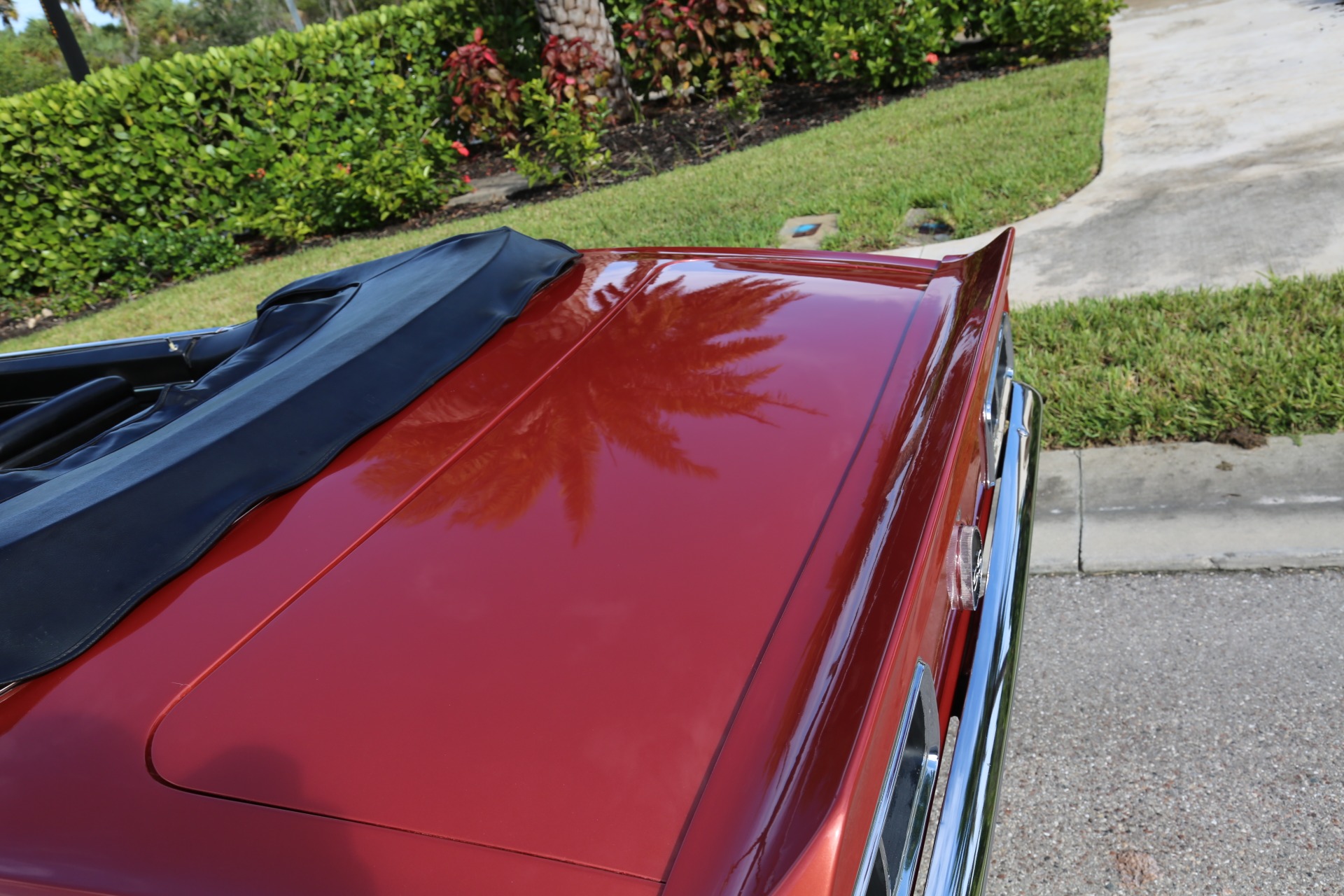Used 1968 Chevy Camaro Convertible V8 Auto for sale Sold at Muscle Cars for Sale Inc. in Fort Myers FL 33912 6