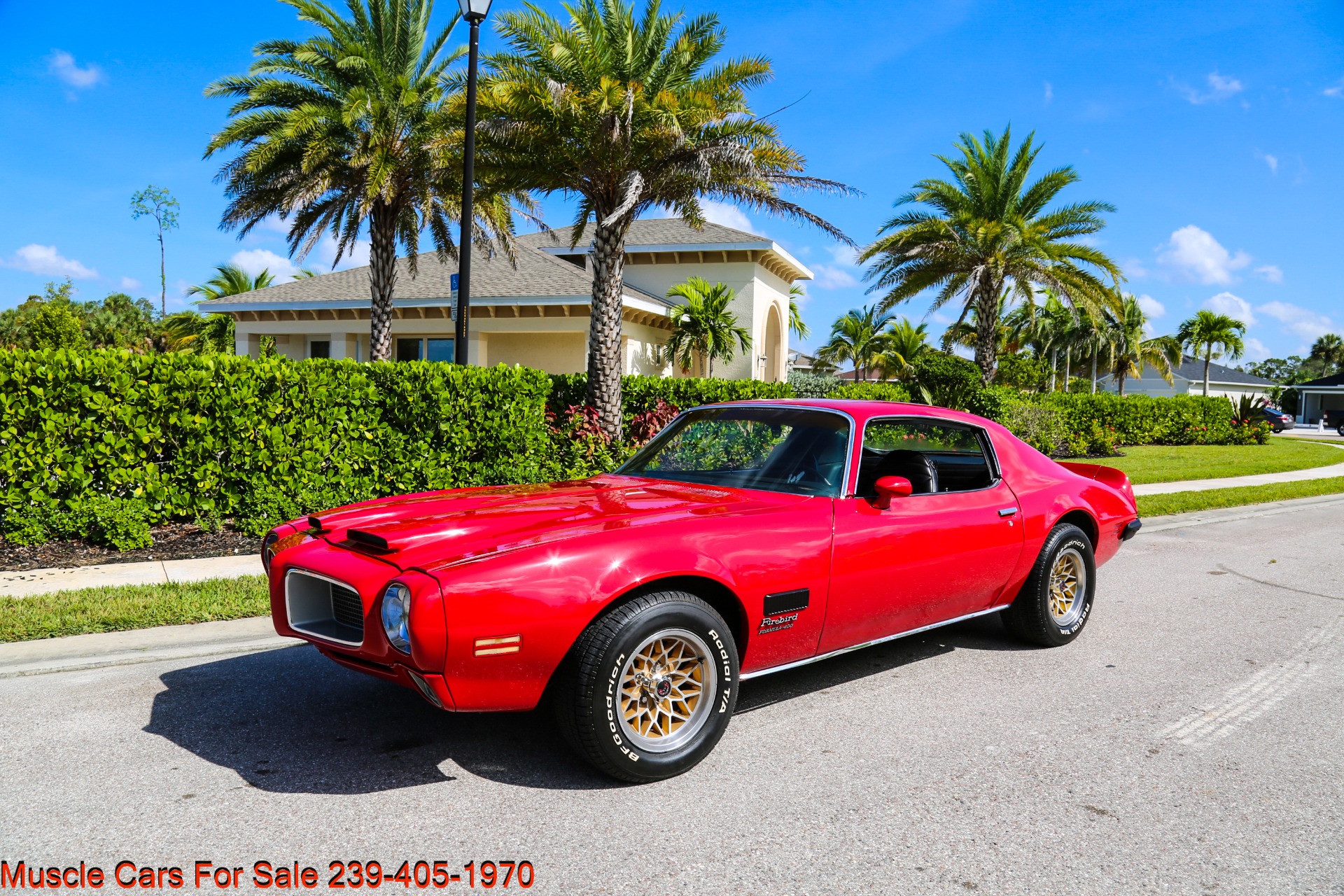 Used 1971 Pontiac Firebird Formula for sale Sold at Muscle Cars for Sale Inc. in Fort Myers FL 33912 4