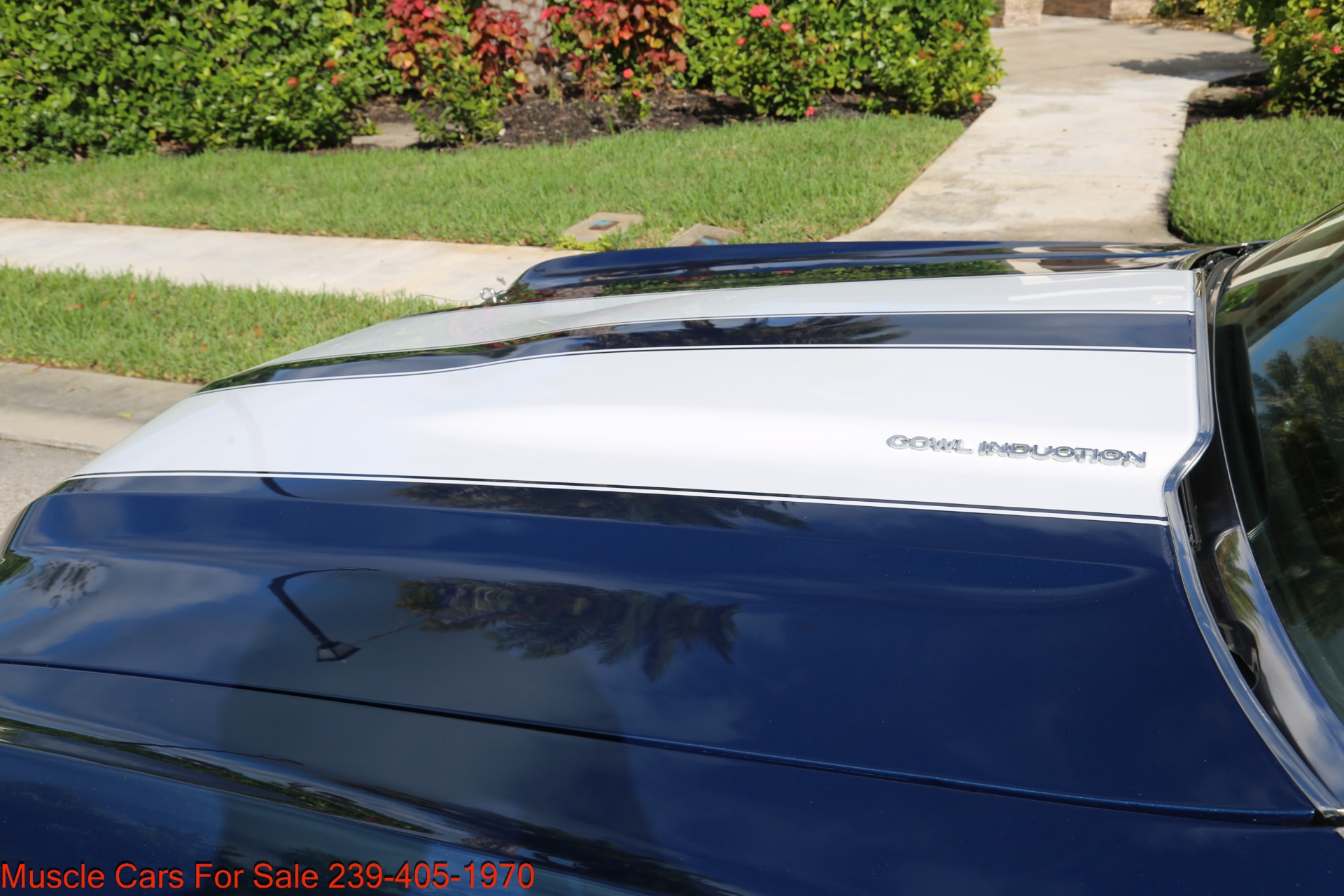 Used 1972 Chevy Chevelle SS SS for sale Sold at Muscle Cars for Sale Inc. in Fort Myers FL 33912 8