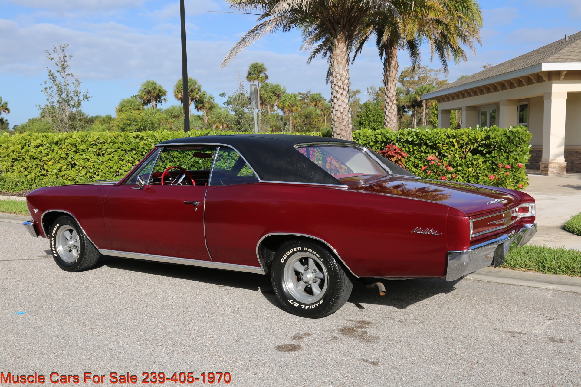 Used 1966 Chevy Chevelle Malibu for sale Sold at Muscle Cars for Sale Inc. in Fort Myers FL 33912 8