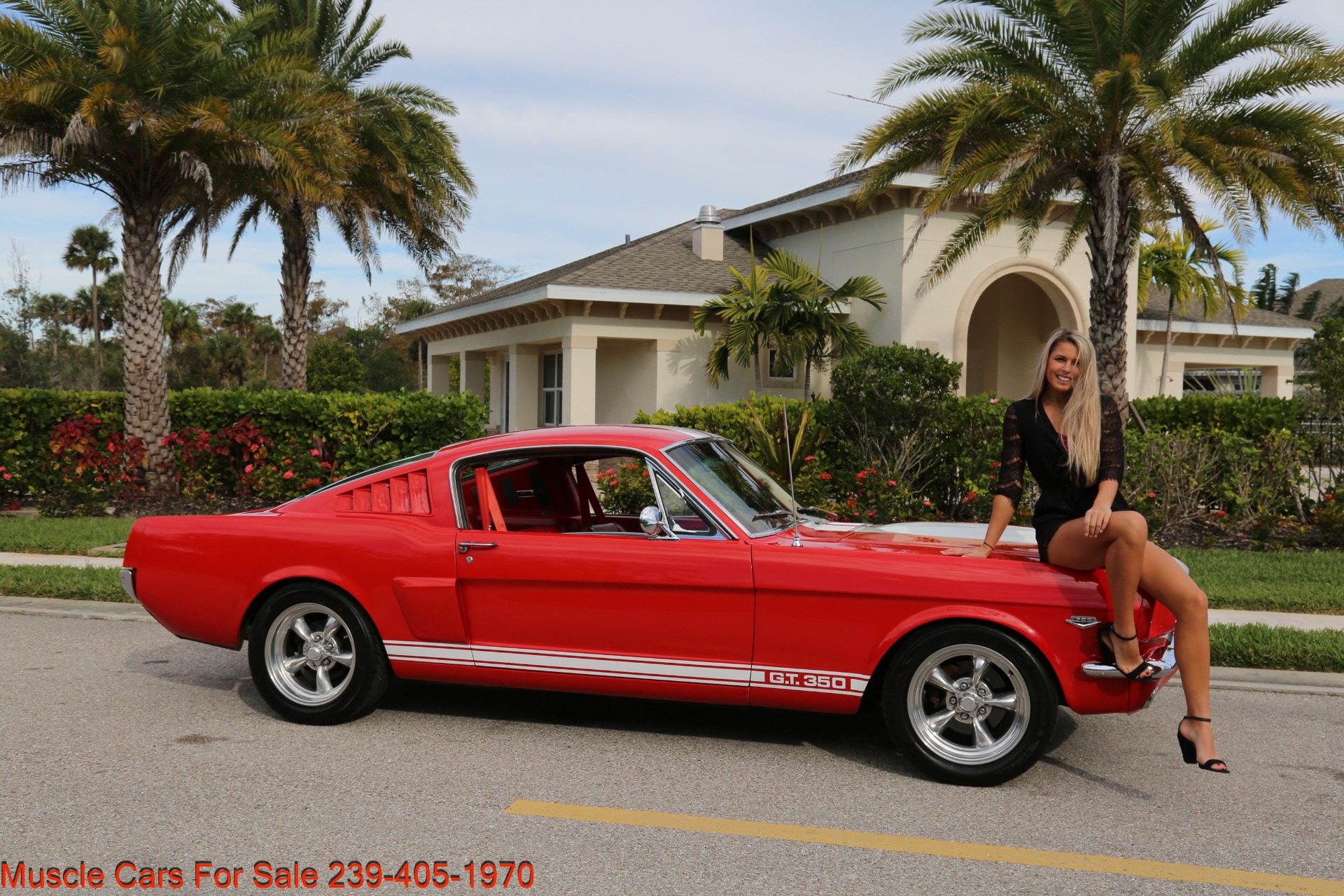 Used 1965 Ford Mustang Fastback A Code GT for sale Sold at Muscle Cars for Sale Inc. in Fort Myers FL 33912 3