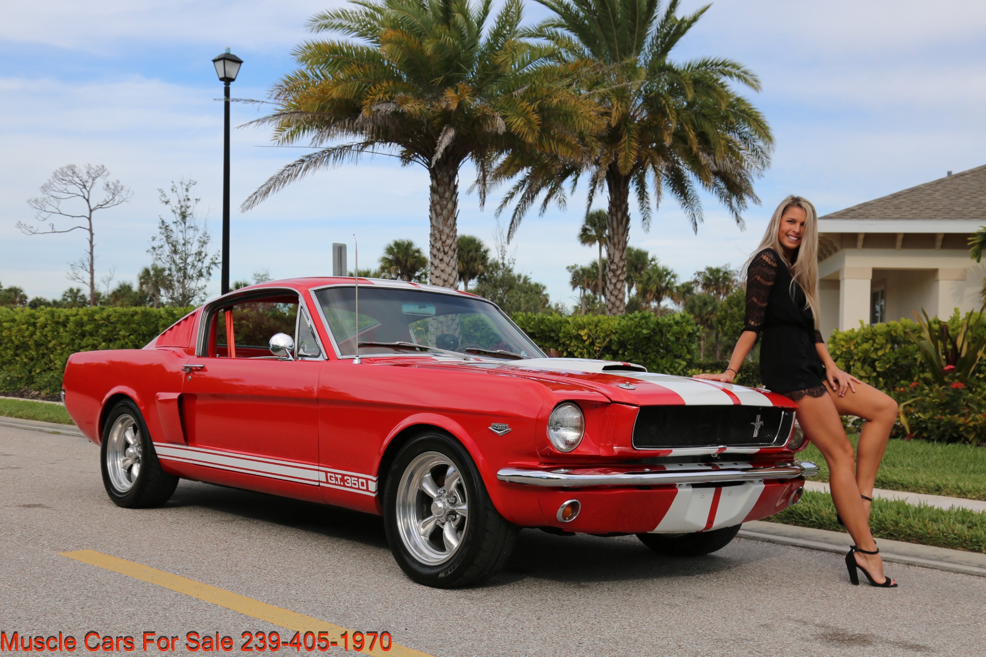 Used 1965 Ford Mustang Fastback A Code GT for sale Sold at Muscle Cars for Sale Inc. in Fort Myers FL 33912 4