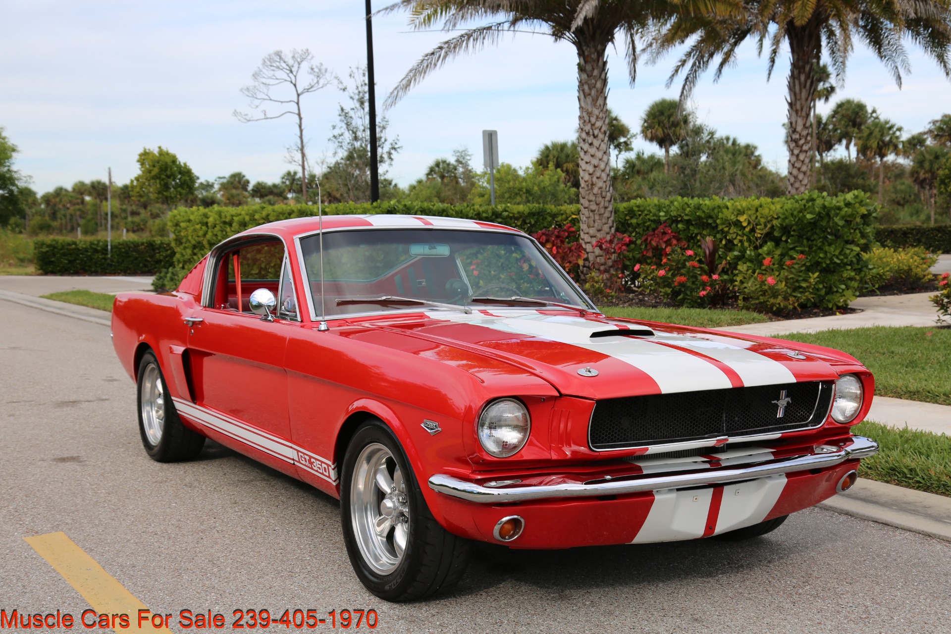 Used 1965 Ford Mustang Fastback A Code GT for sale Sold at Muscle Cars for Sale Inc. in Fort Myers FL 33912 5
