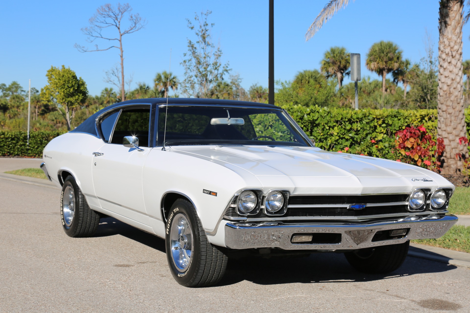 Used 1969 Chevy Chevelle V8 Auto for sale Sold at Muscle Cars for Sale Inc. in Fort Myers FL 33912 2