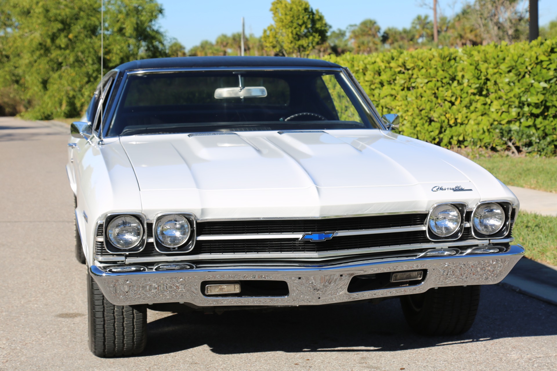 Used 1969 Chevy Chevelle V8 Auto for sale Sold at Muscle Cars for Sale Inc. in Fort Myers FL 33912 3