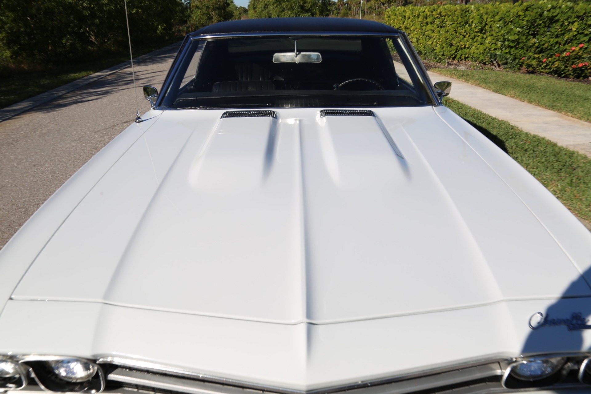 Used 1969 Chevy Chevelle V8 Auto for sale Sold at Muscle Cars for Sale Inc. in Fort Myers FL 33912 4