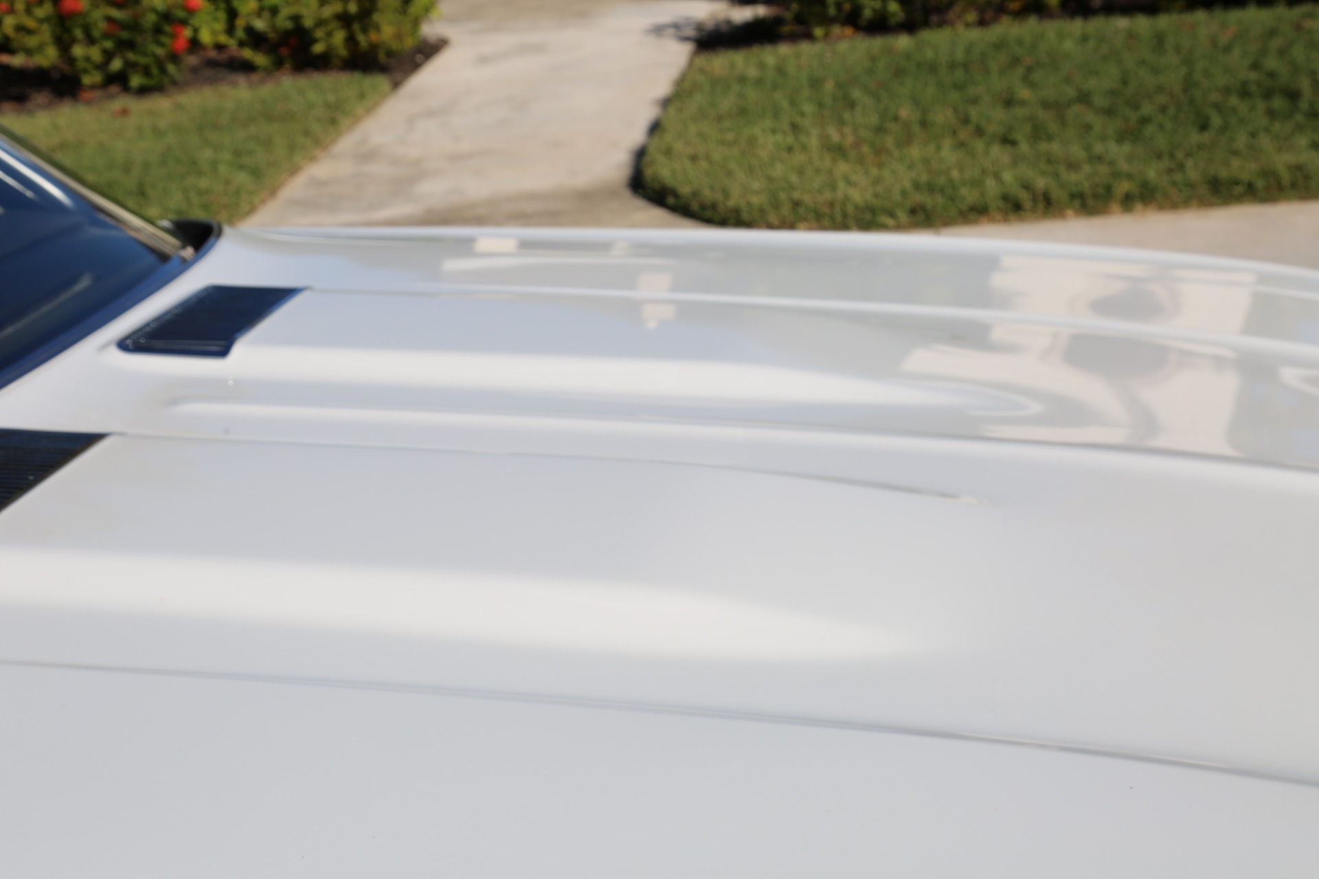 Used 1969 Chevy Chevelle V8 Auto for sale Sold at Muscle Cars for Sale Inc. in Fort Myers FL 33912 5