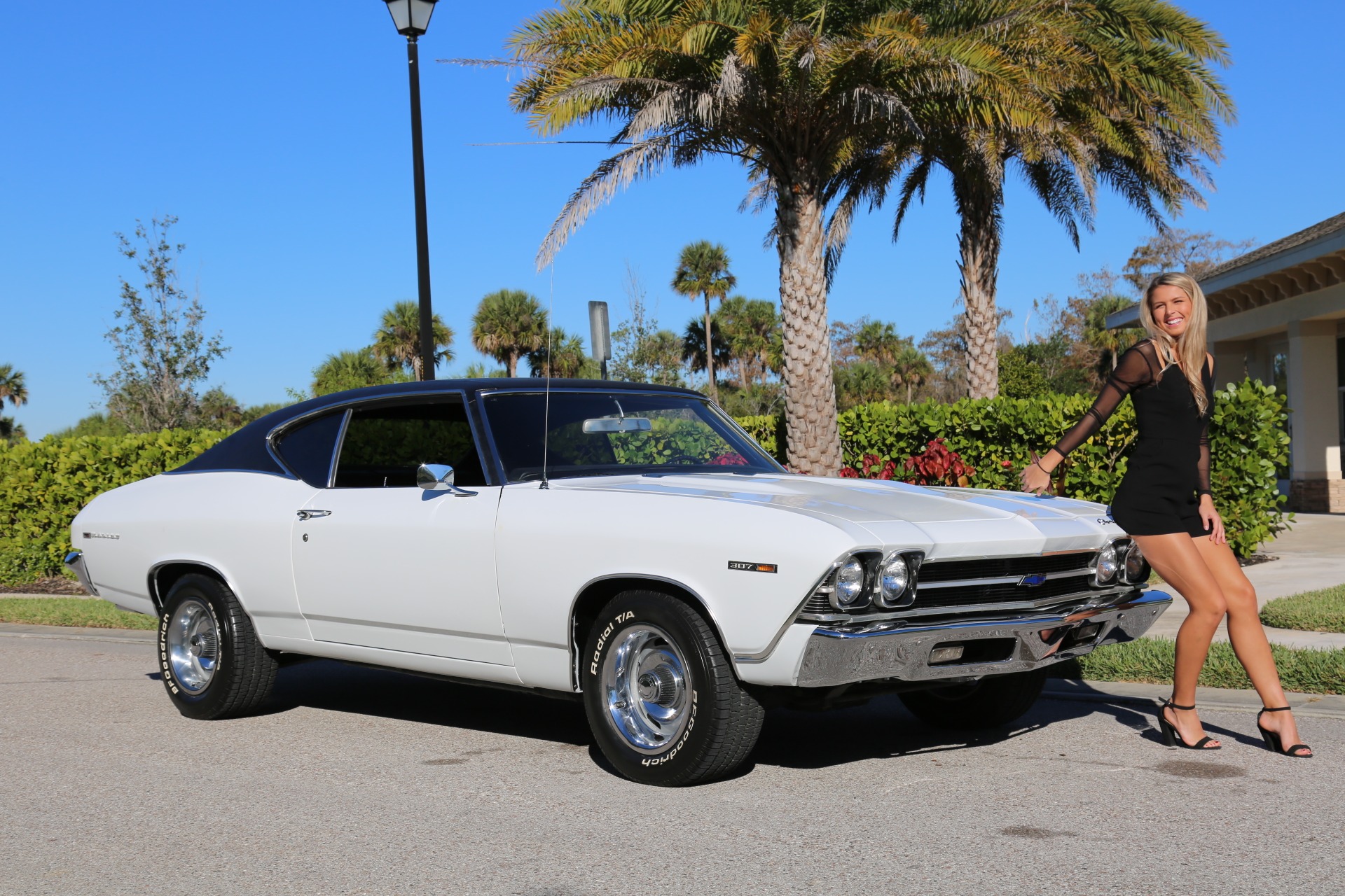 Used 1969 Chevy Chevelle V8 Auto for sale Sold at Muscle Cars for Sale Inc. in Fort Myers FL 33912 1