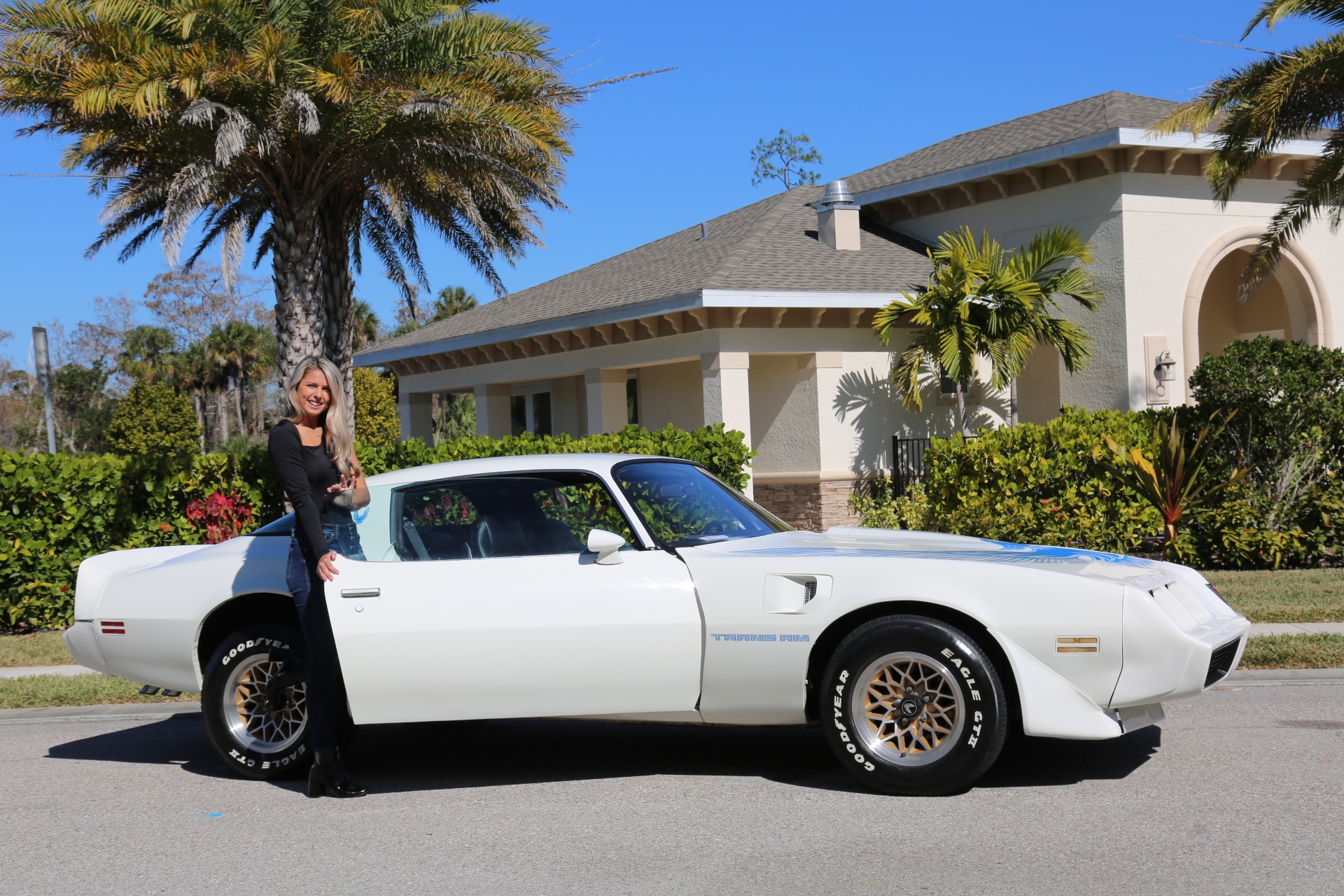 Used 1980 Pontiac Ttrans Am Trans Am for sale Sold at Muscle Cars for Sale Inc. in Fort Myers FL 33912 3